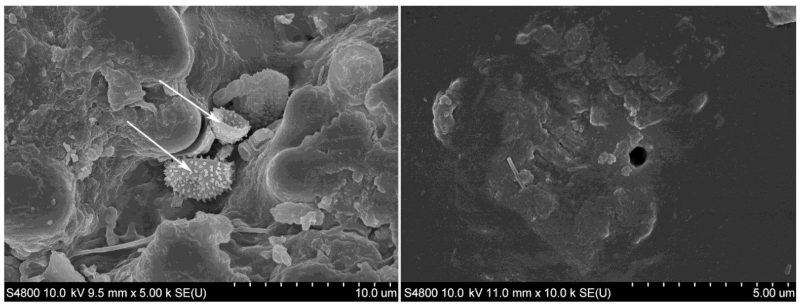 Polymers 13 02126 g013 Polymers 13 02126 g013