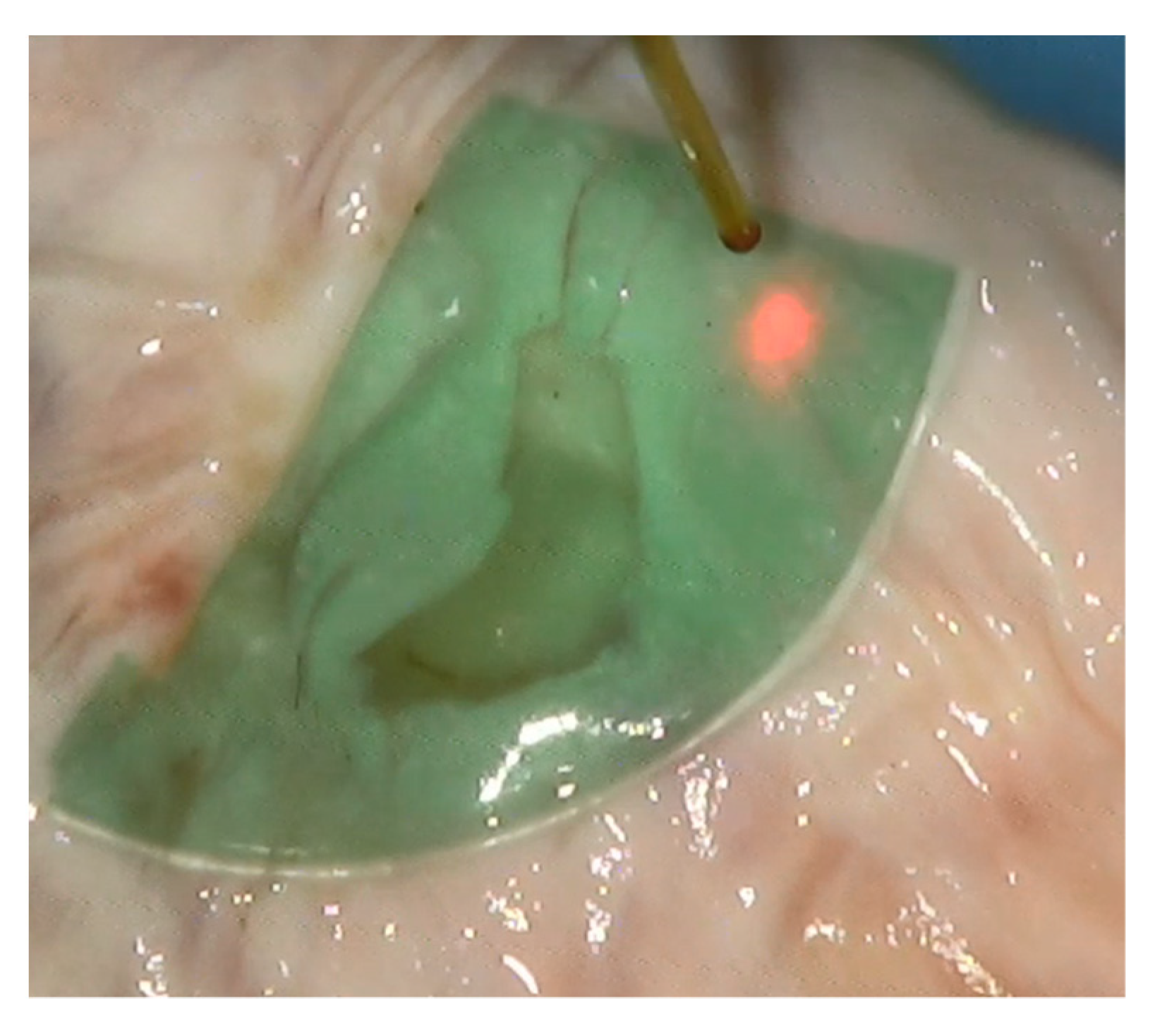 Polymers 13 02130 g003