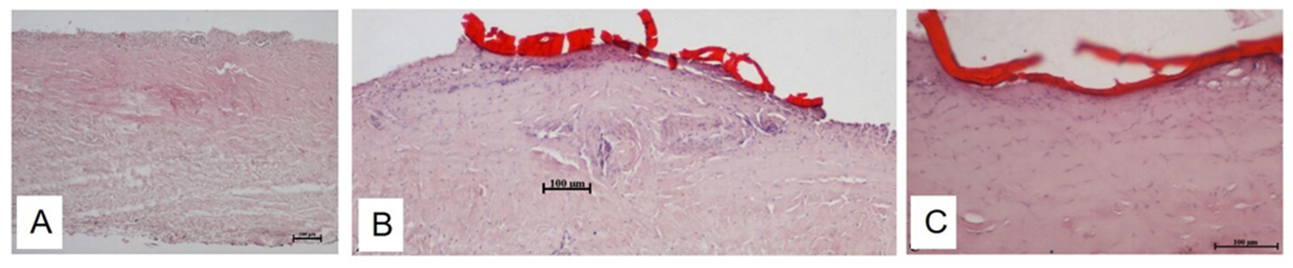 Polymers 13 02130 g005