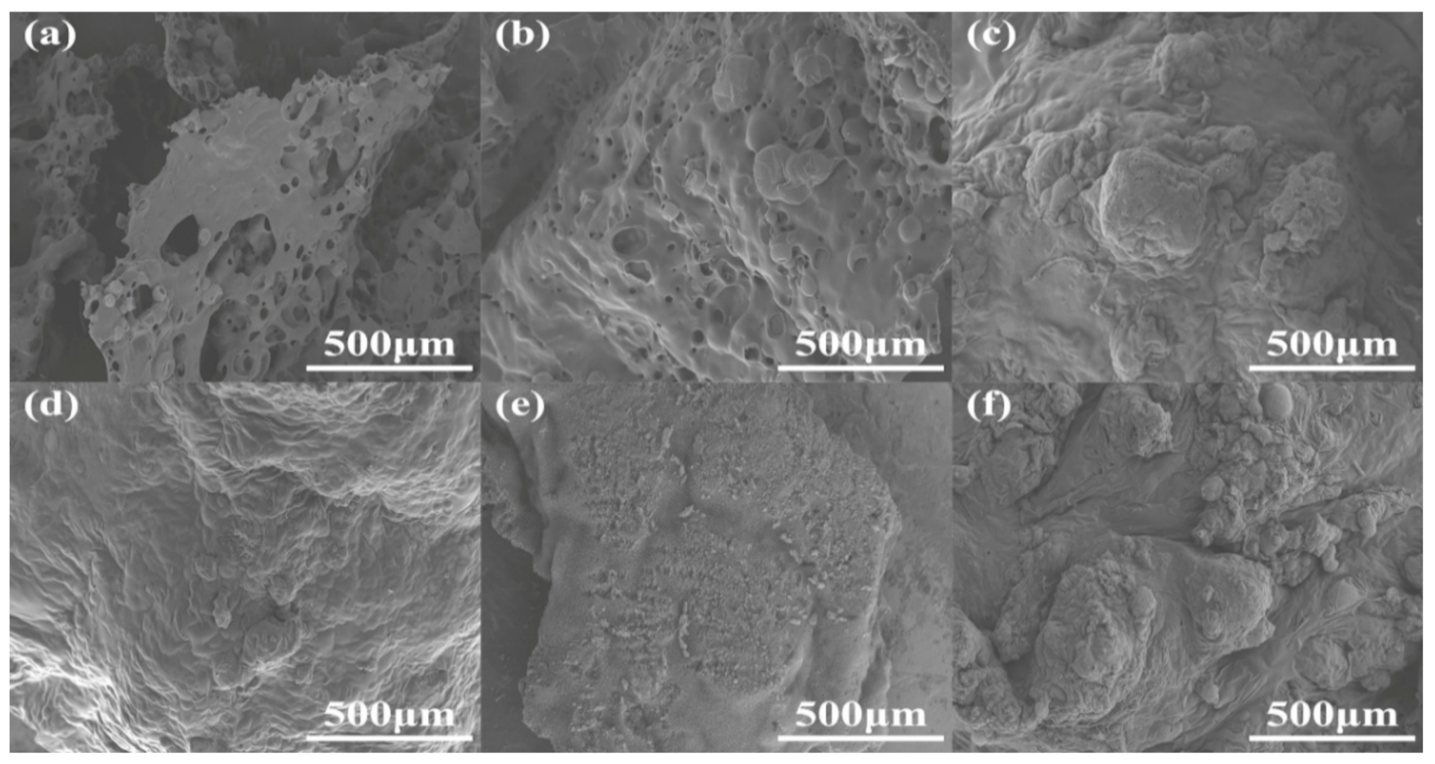 Polymers 13 02140 g008