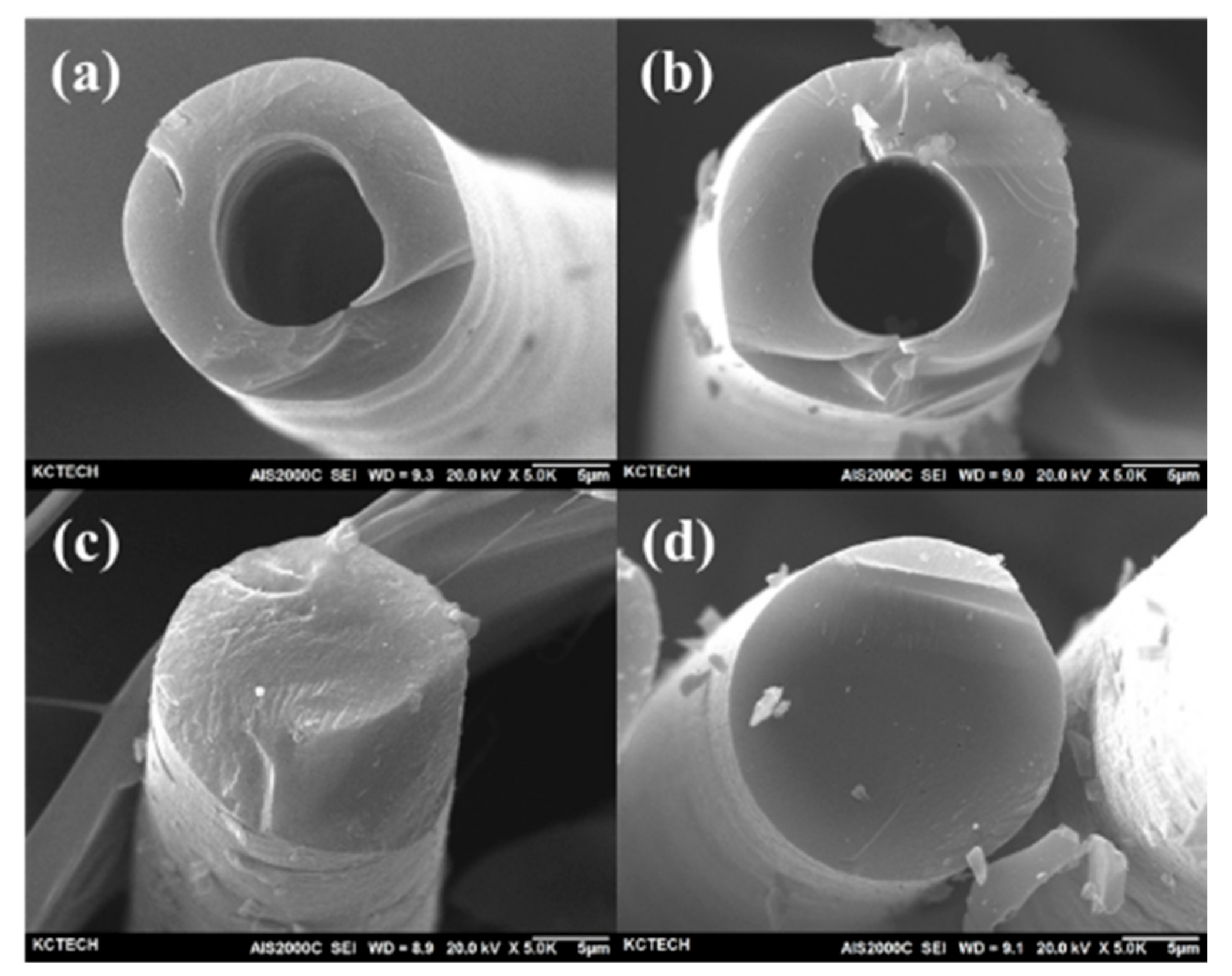 Polymers 13 02157 g008