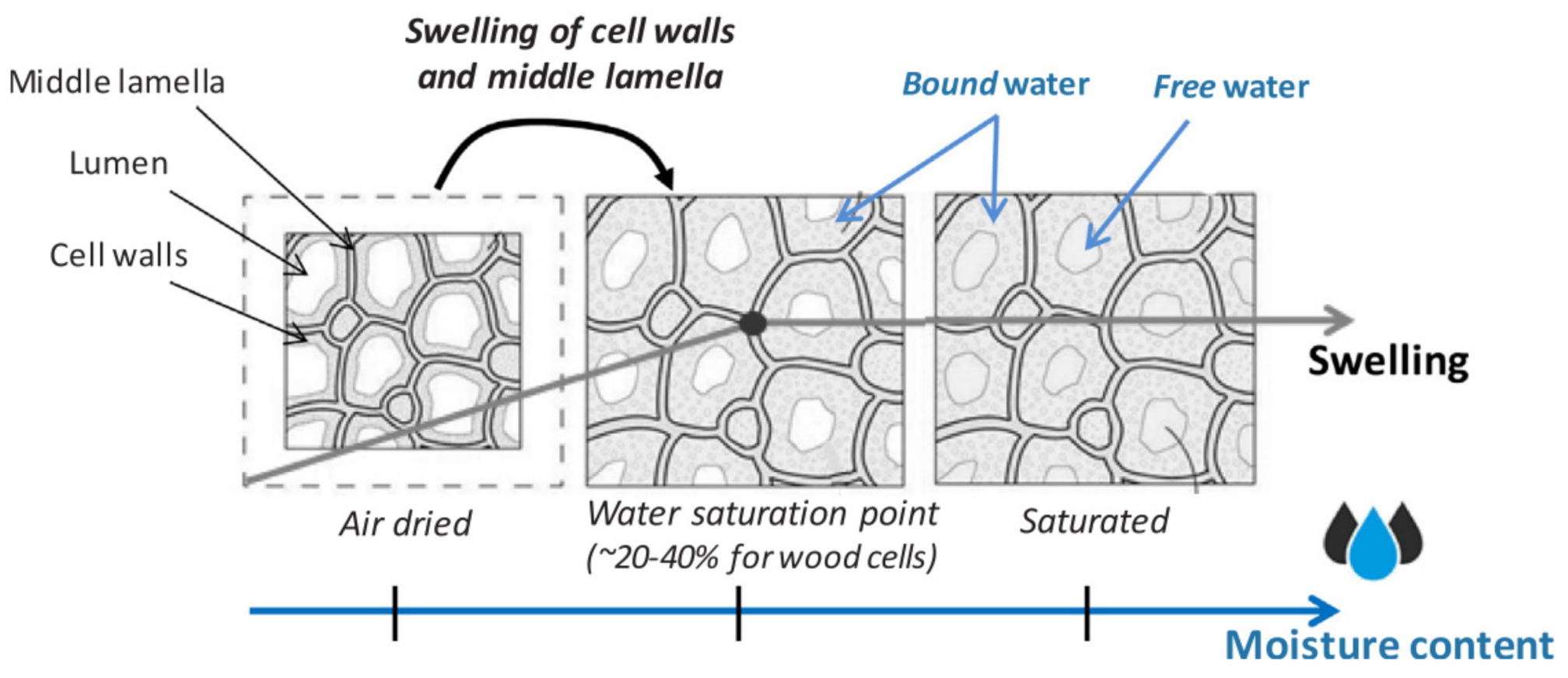 Polymers 13 02170 g003