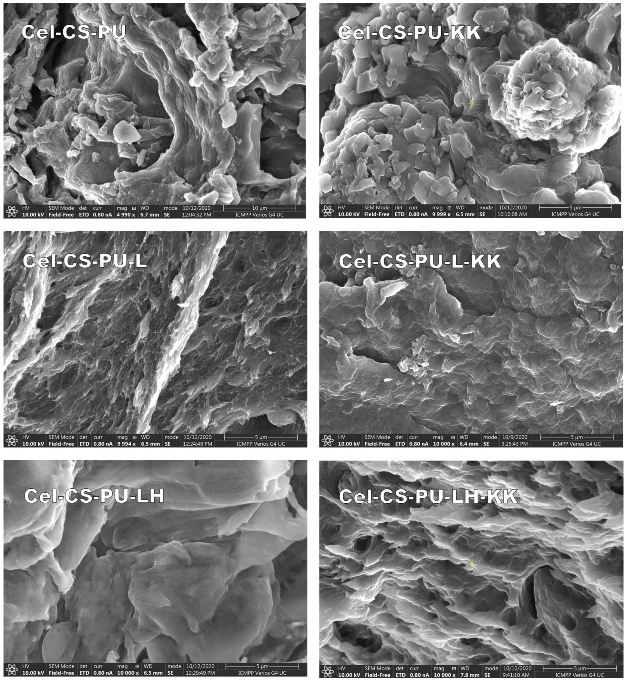 Polymers 13 02176 g004
