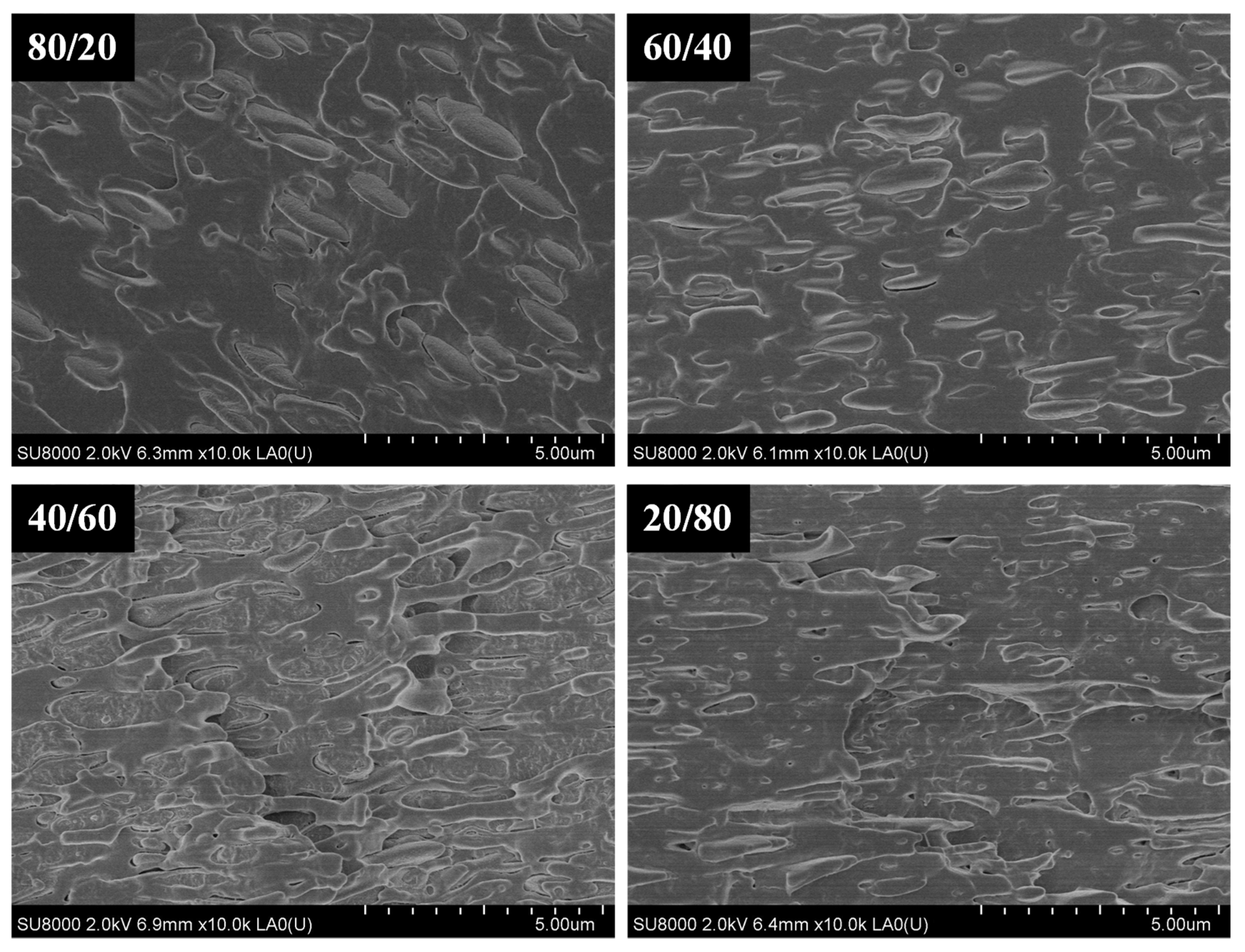 Polymers 13 02179 g001