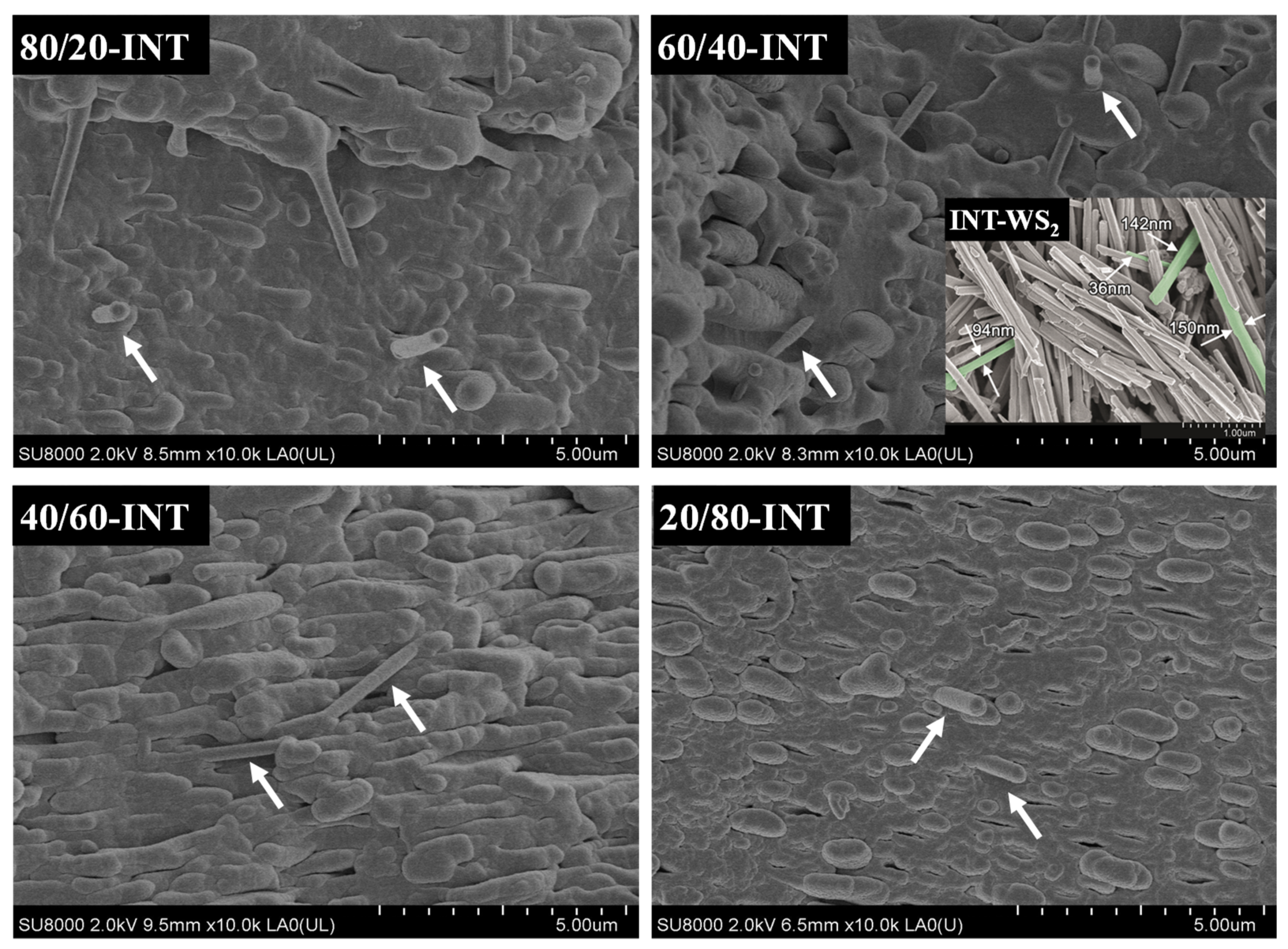 Polymers 13 02179 g002