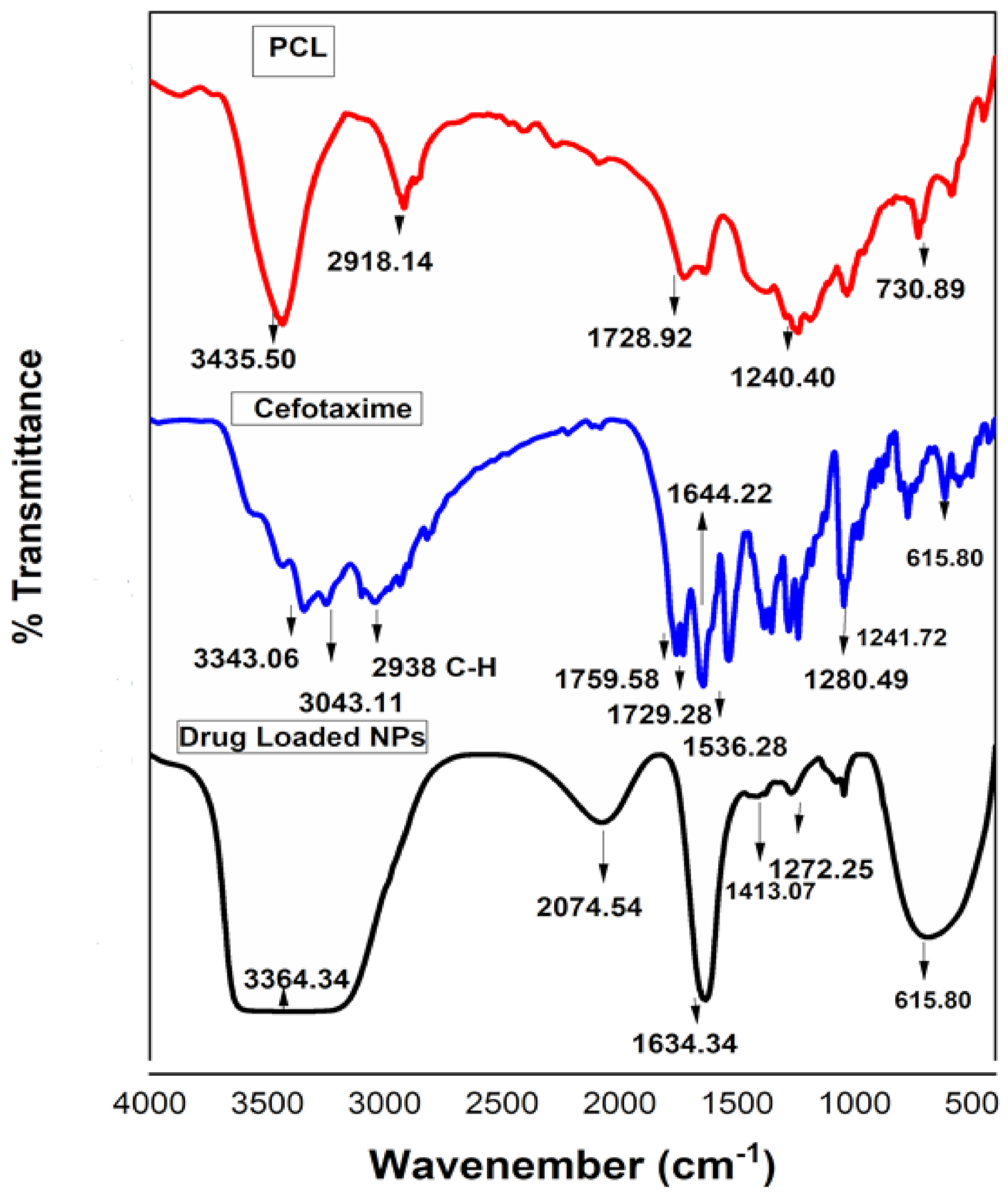 Polymers 13 02180 g003 Polymers 13 02180 g003