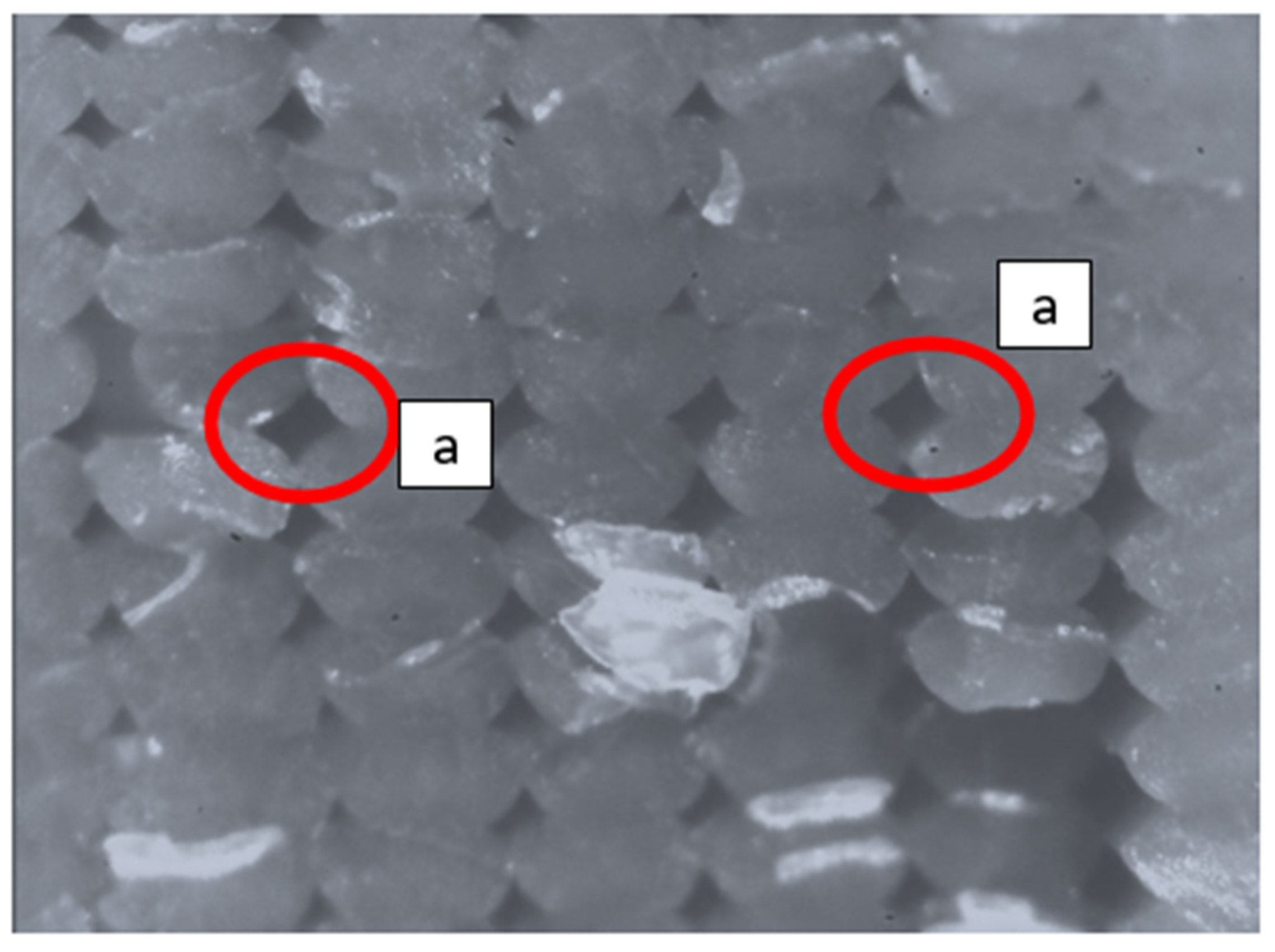 Polymers 13 02190 g001