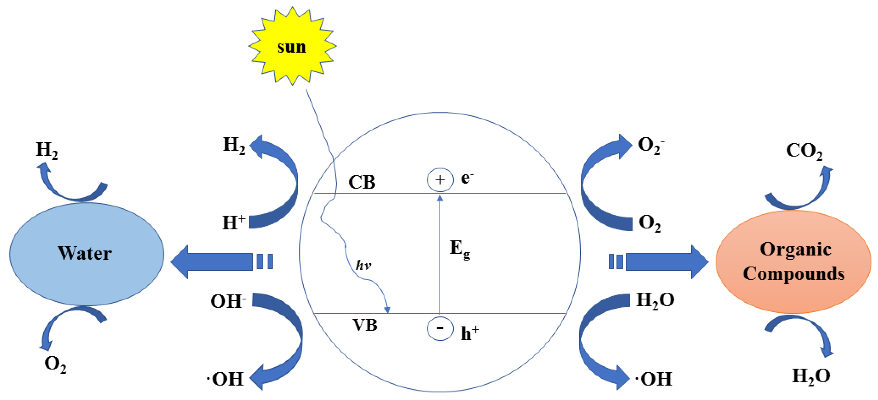 Polymers 13 02196 g001