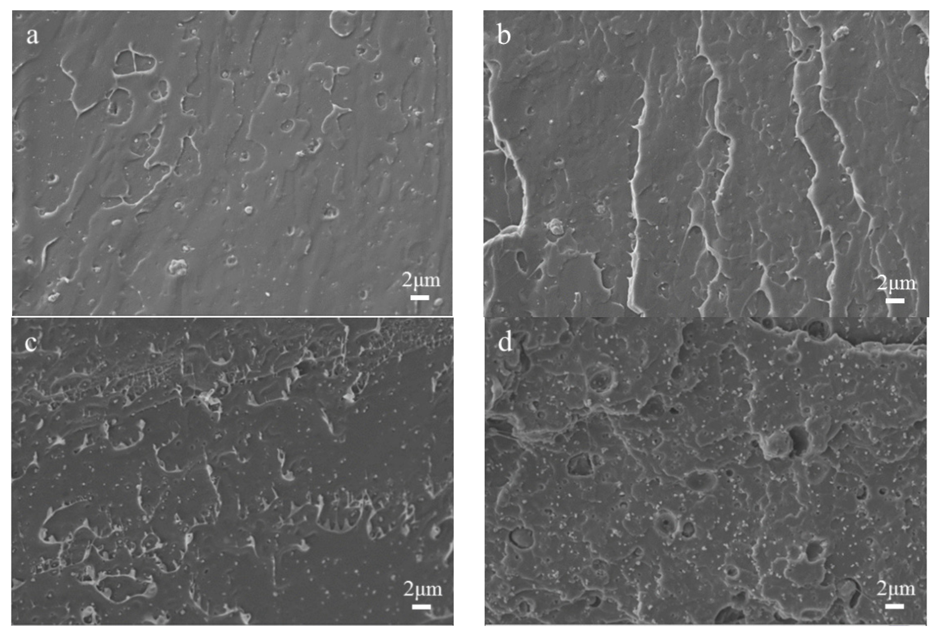 Polymers 13 02196 g005