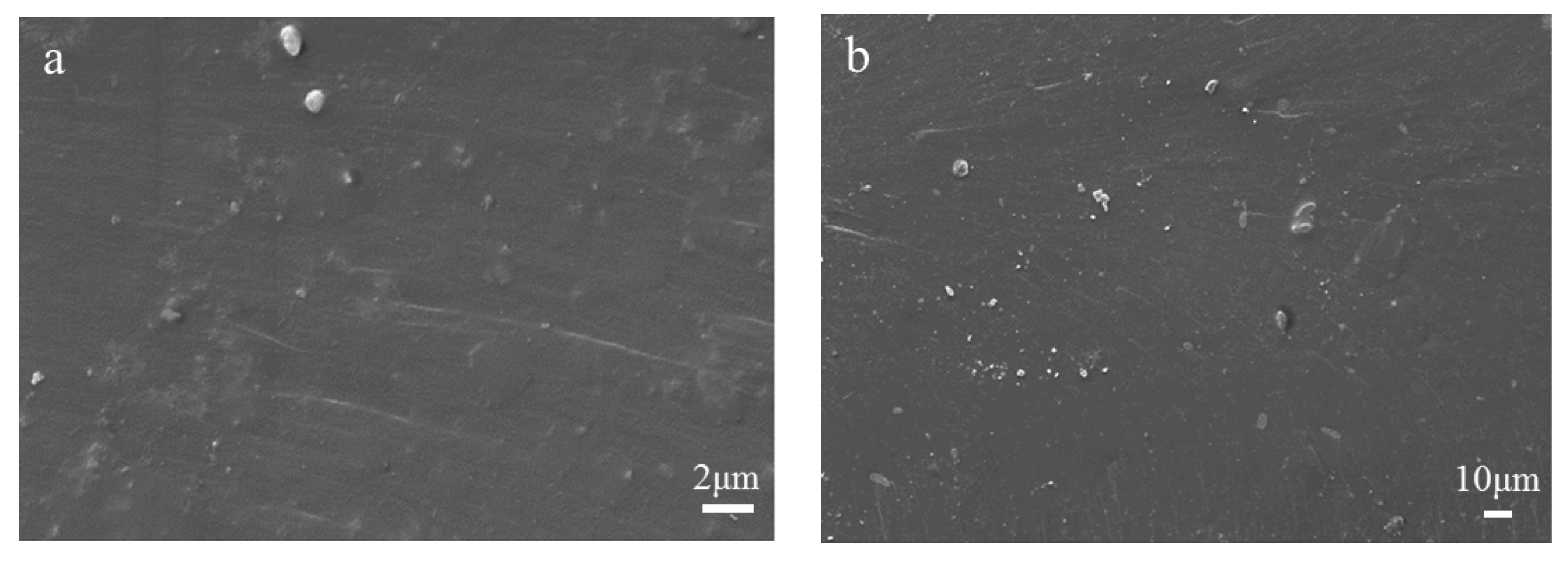 Polymers 13 02196 g007a