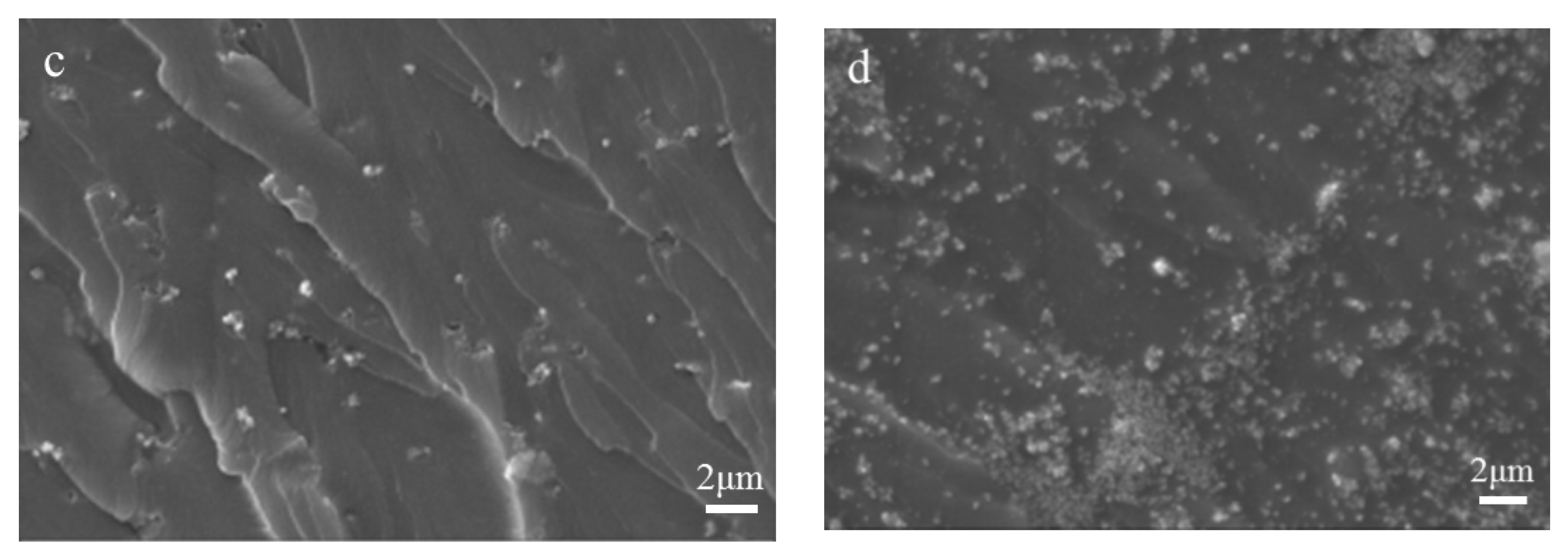 Polymers 13 02196 g007b