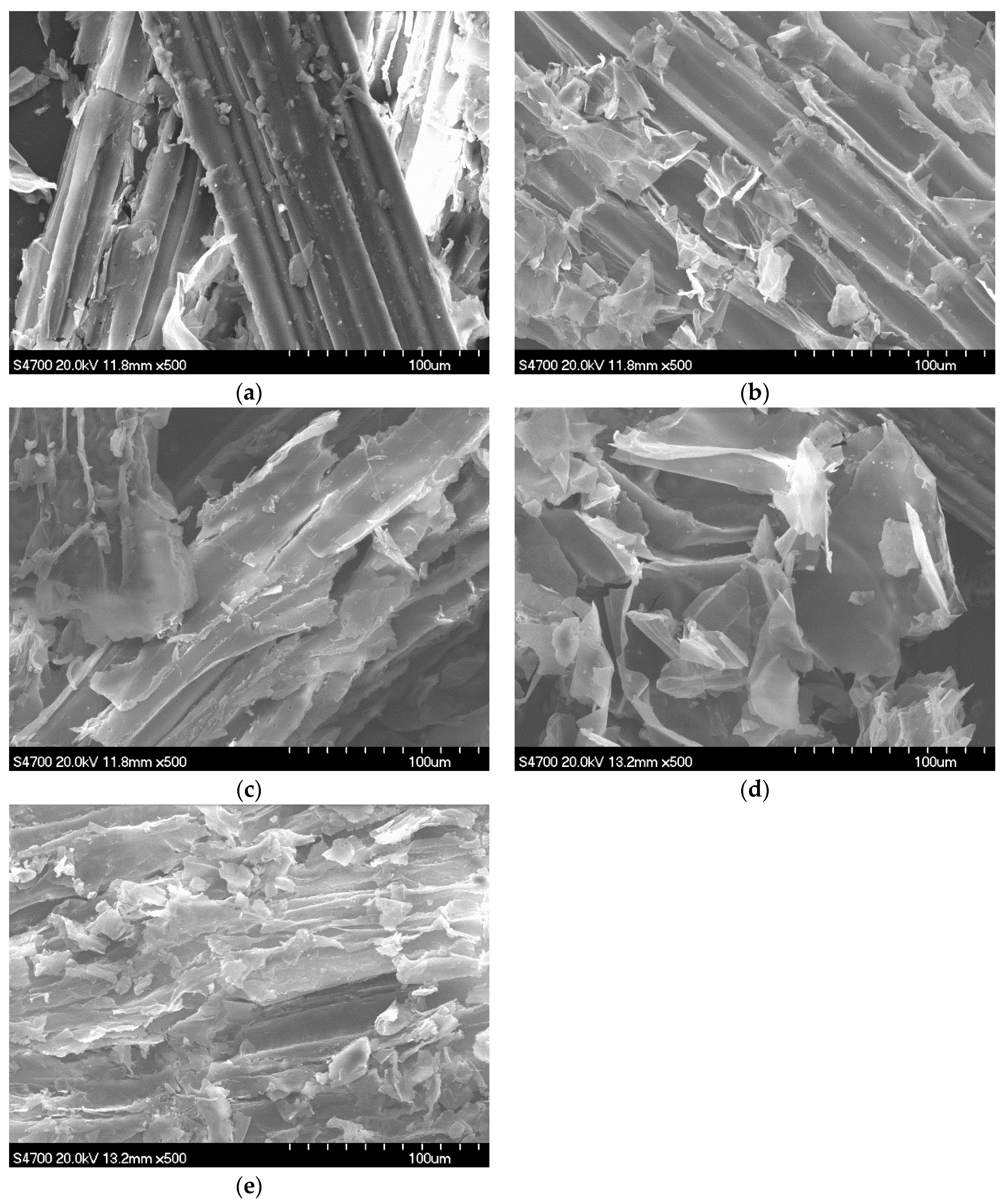 Polymers 13 02207 g005