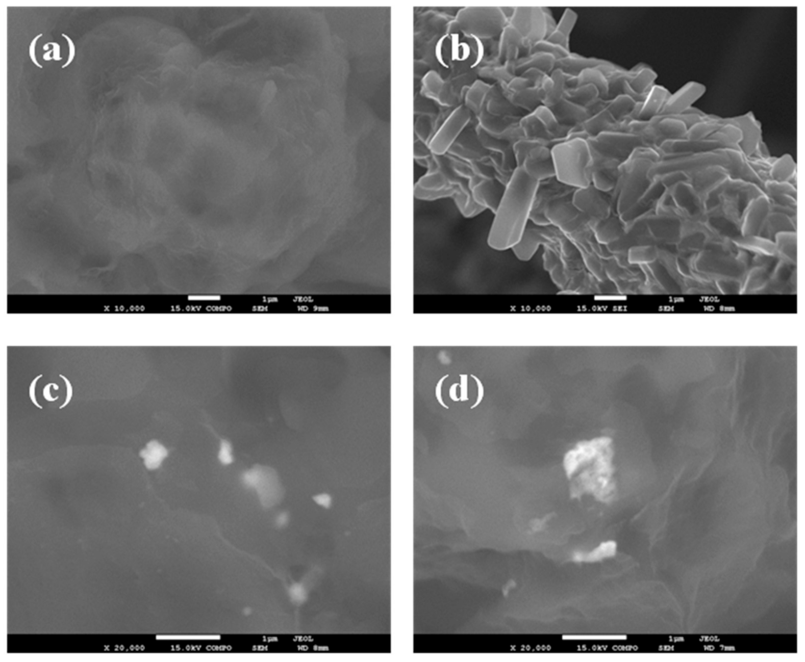 Polymers 13 02214 g001