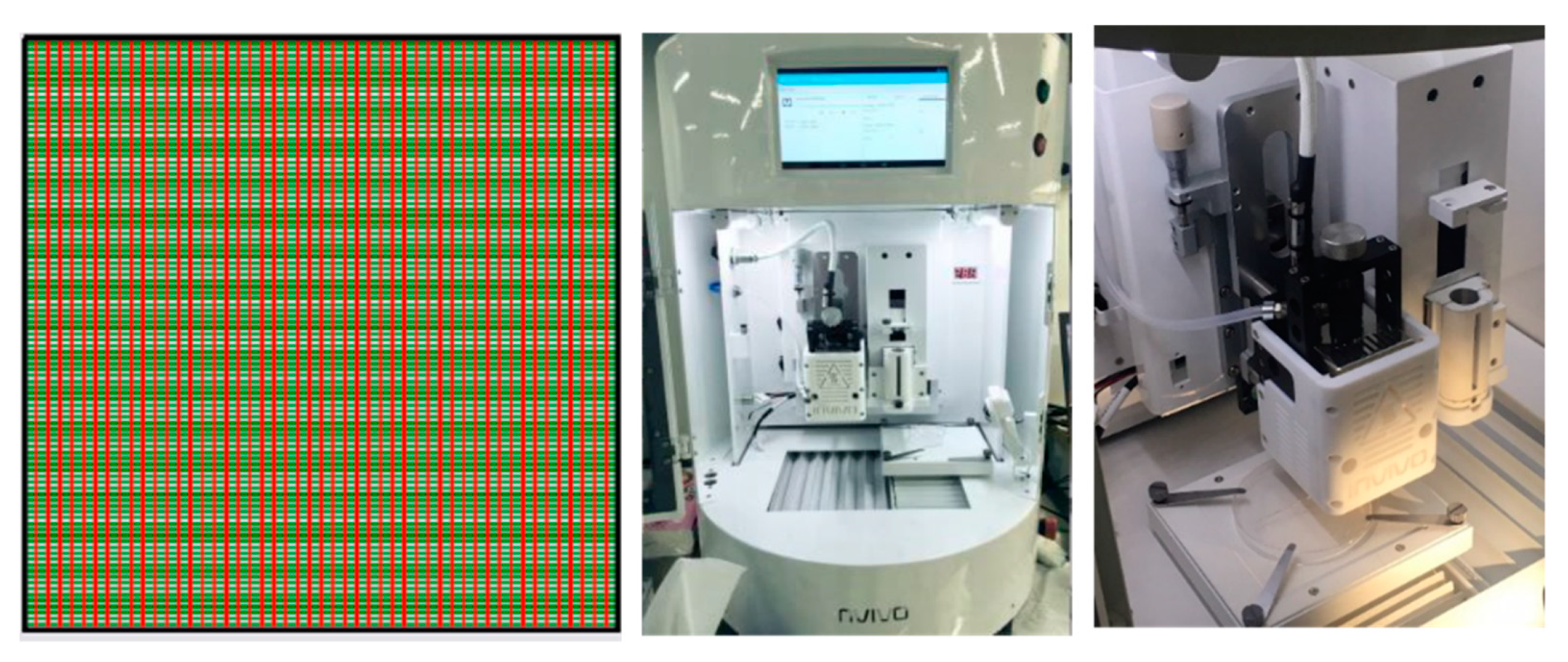 Polymers 13 02222 g001