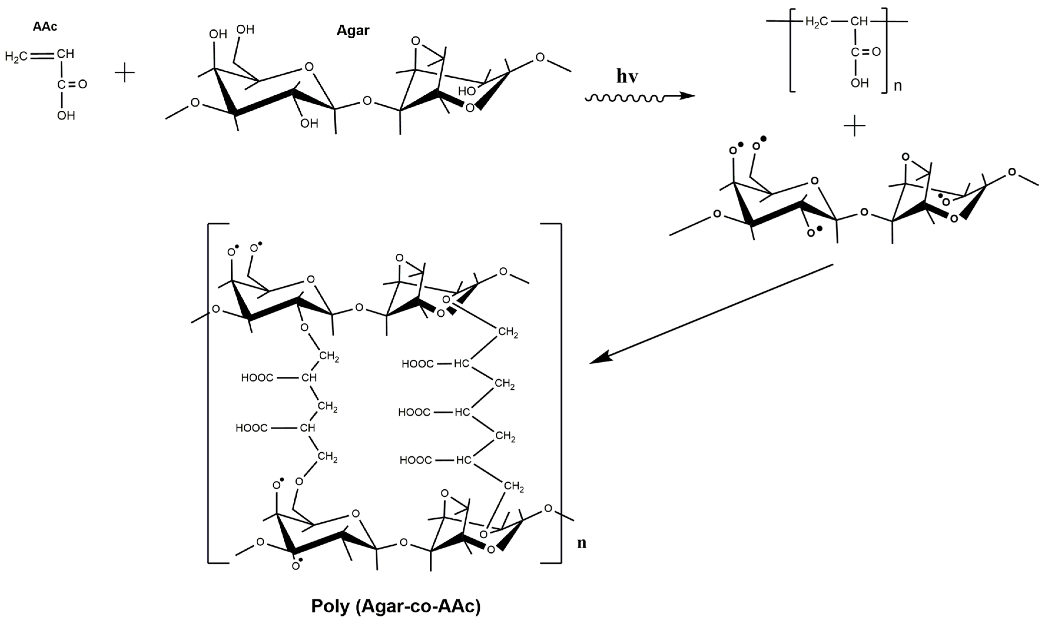 Polymers 13 02223 g001 Polymers 13 02223 g001