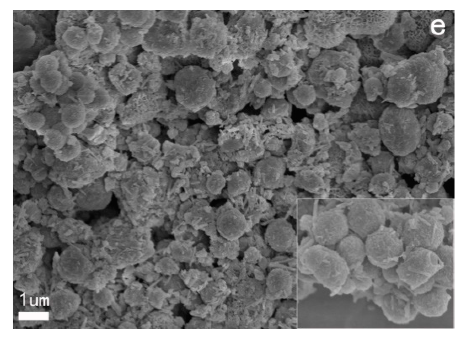 Polymers 13 02224 g003b