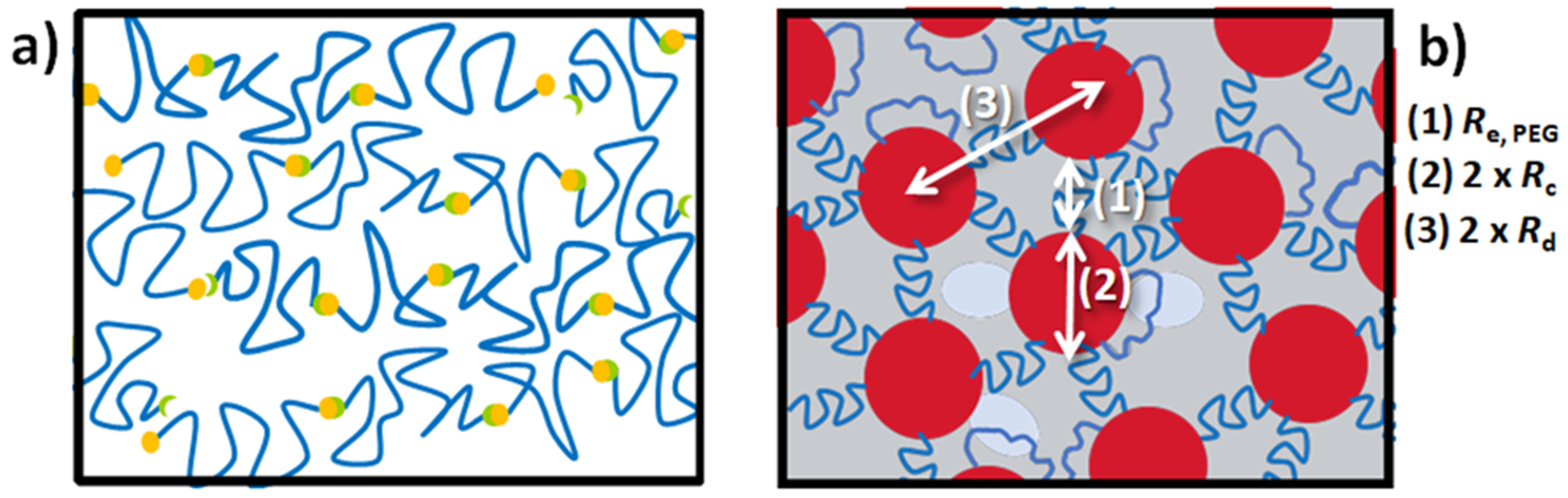 Polymers 13 02235 sch002 Polymers 13 02235 sch002