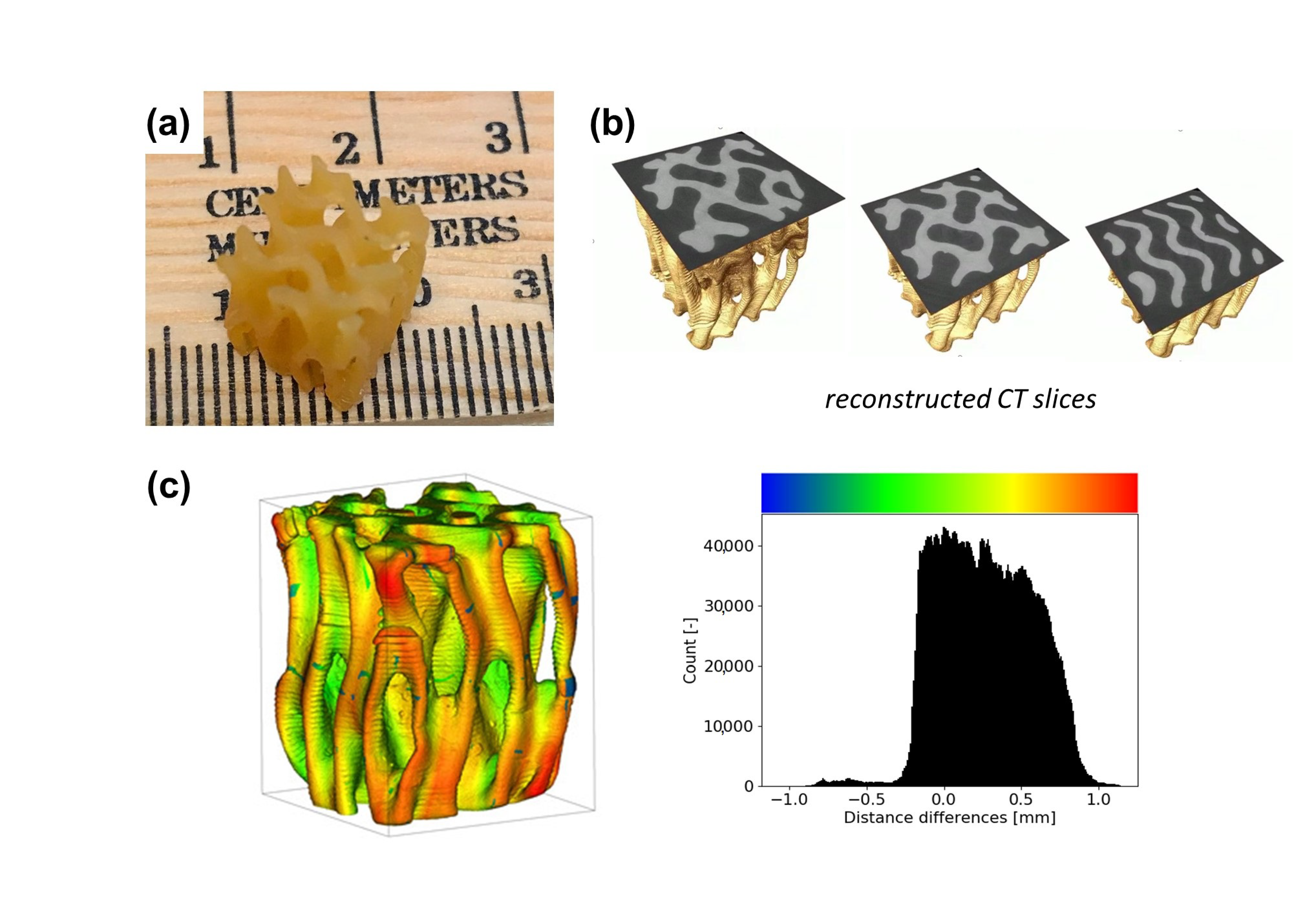 Polymers 13 02239 g004