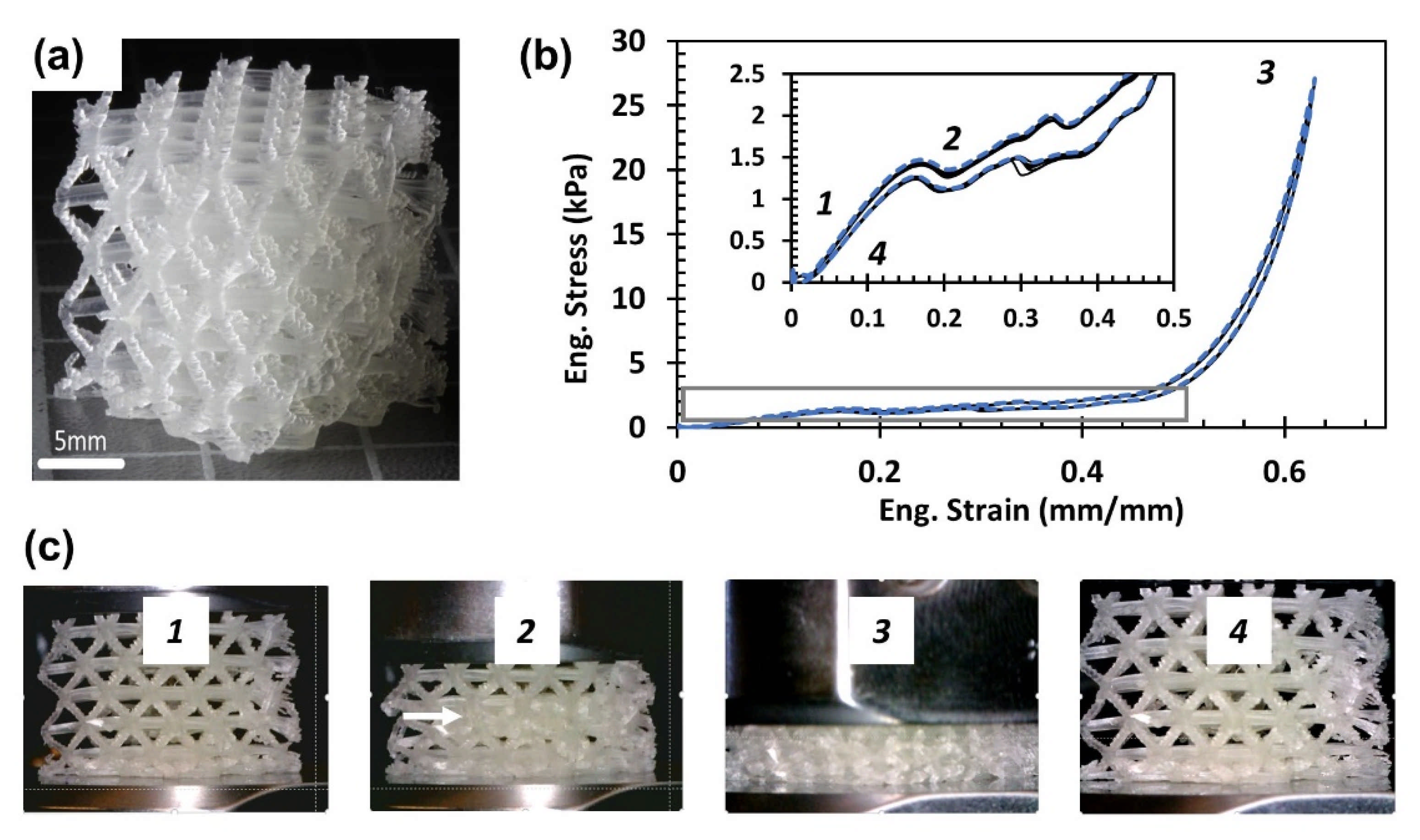 Polymers 13 02239 g005