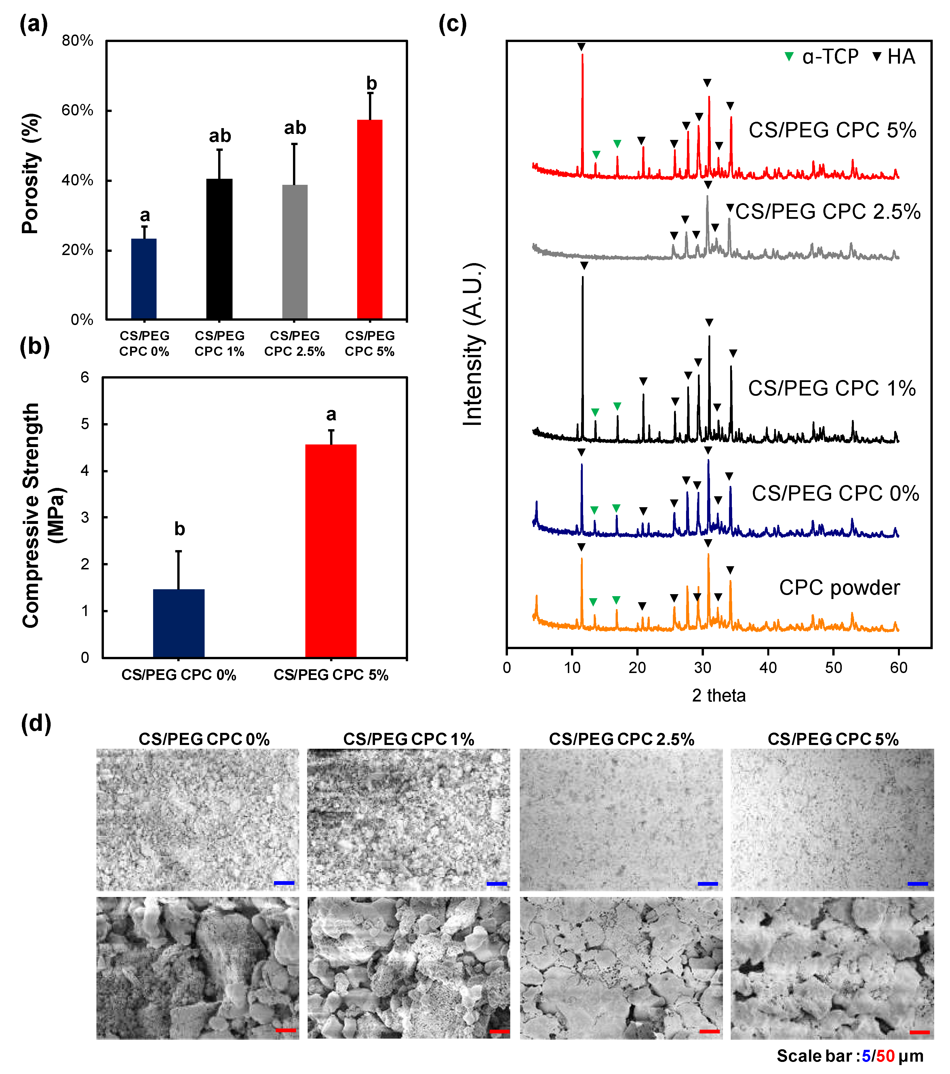 Polymers 13 02252 g002
