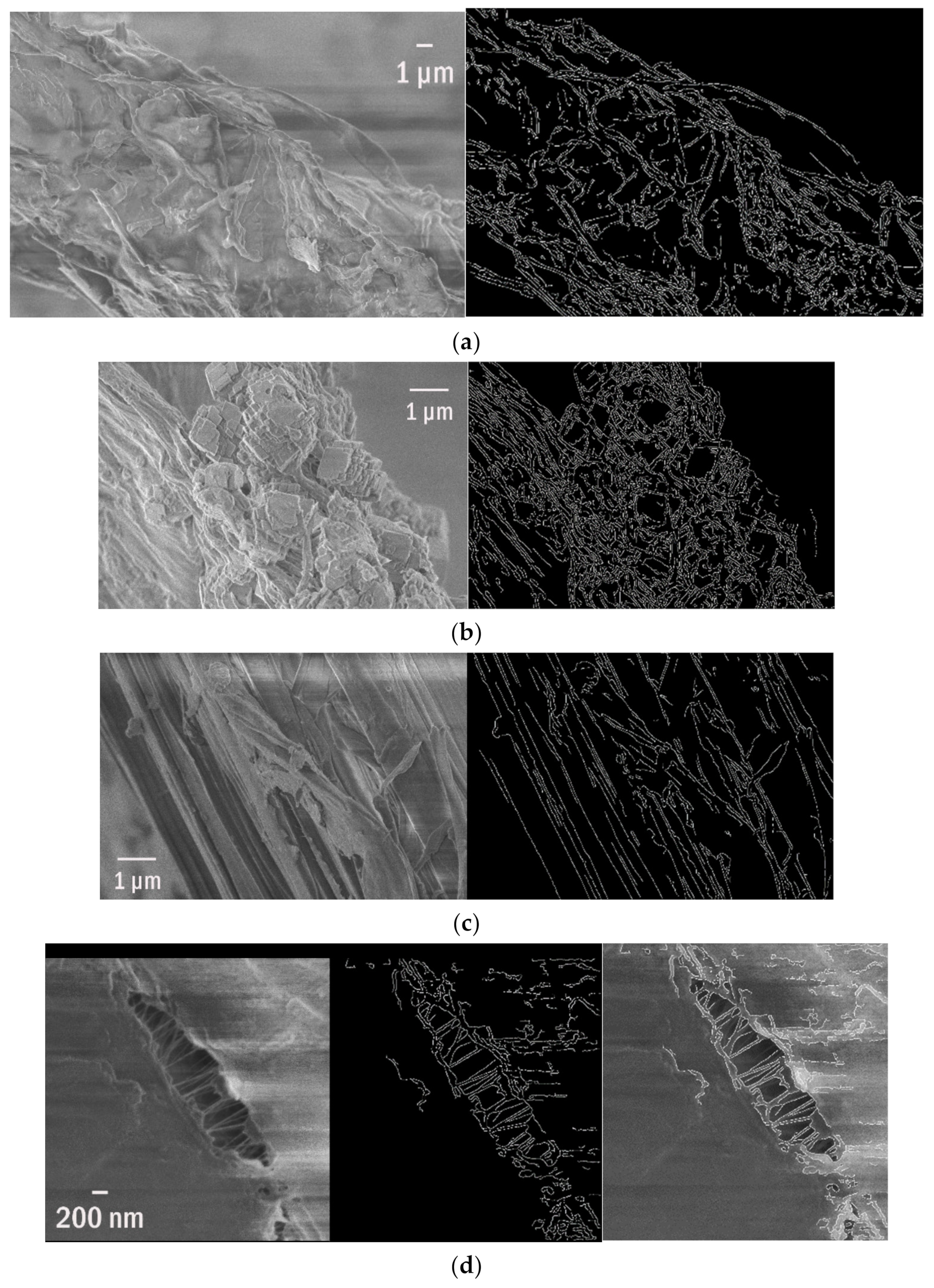 Polymers 13 02255 g003