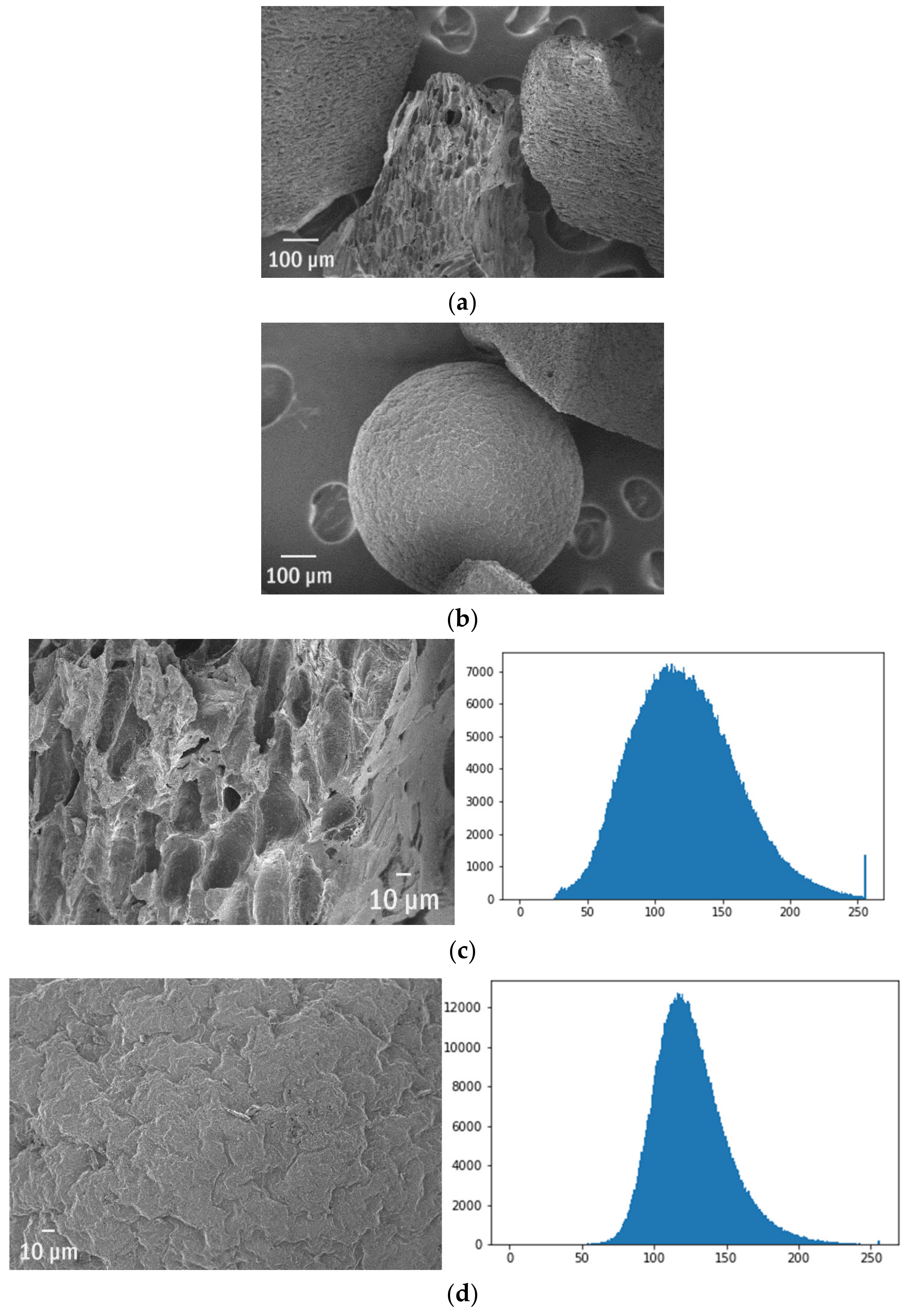 Polymers 13 02255 g004