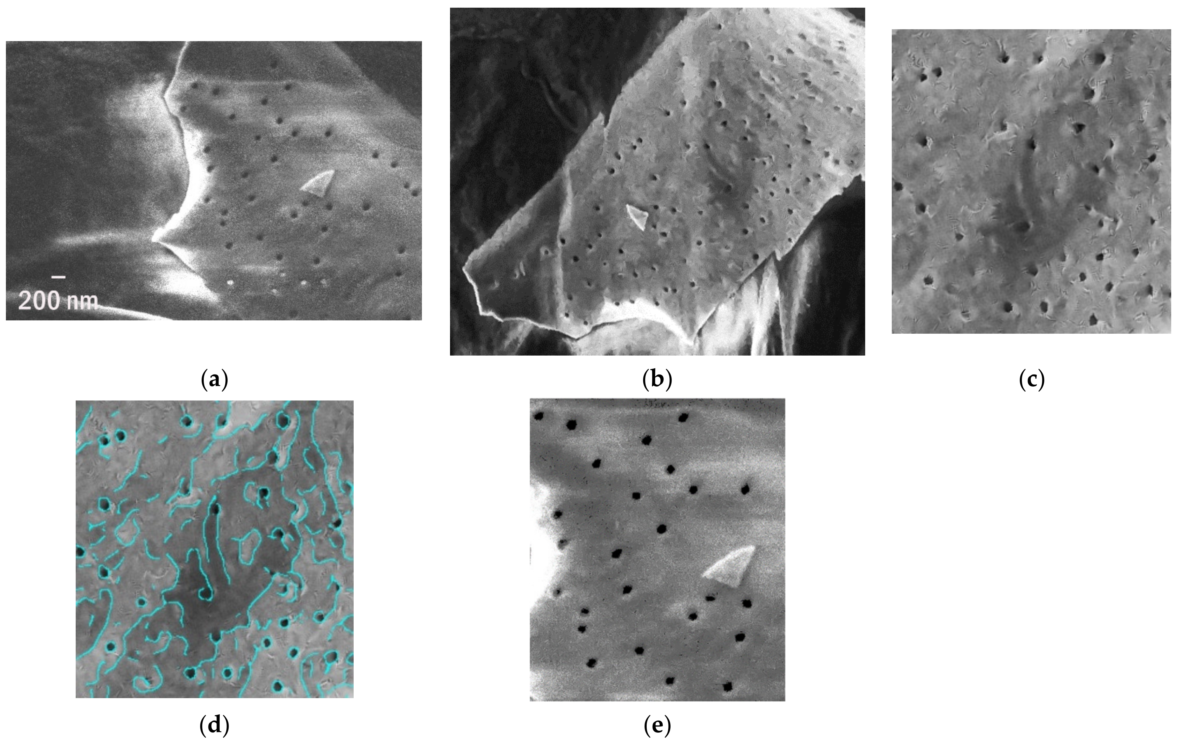 Polymers 13 02255 g005