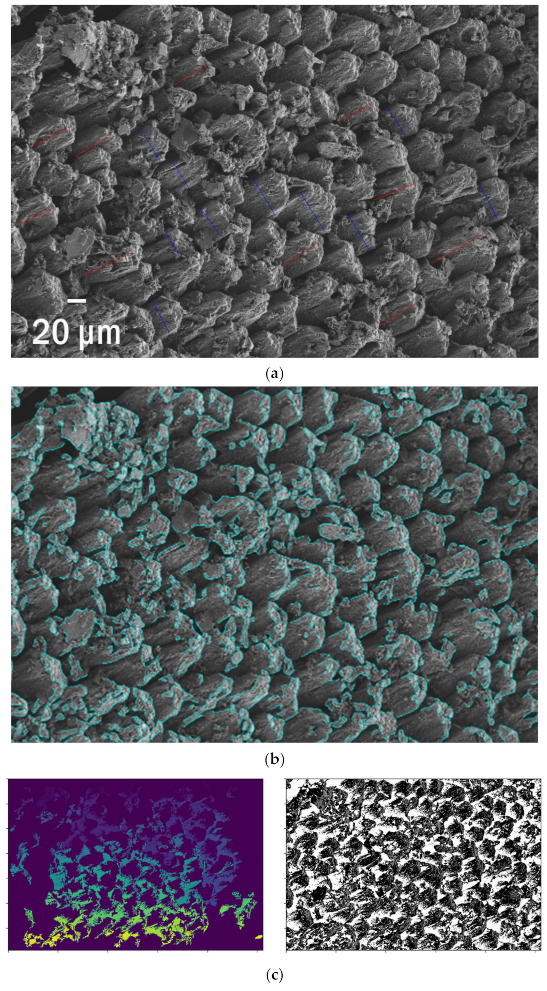 Polymers 13 02255 g006