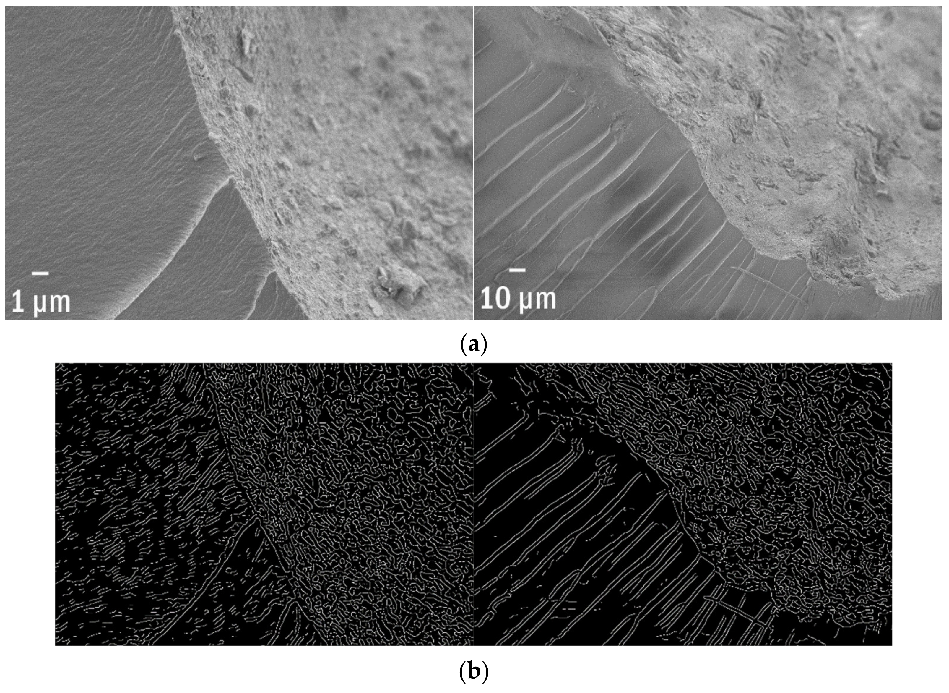 Polymers 13 02255 g007