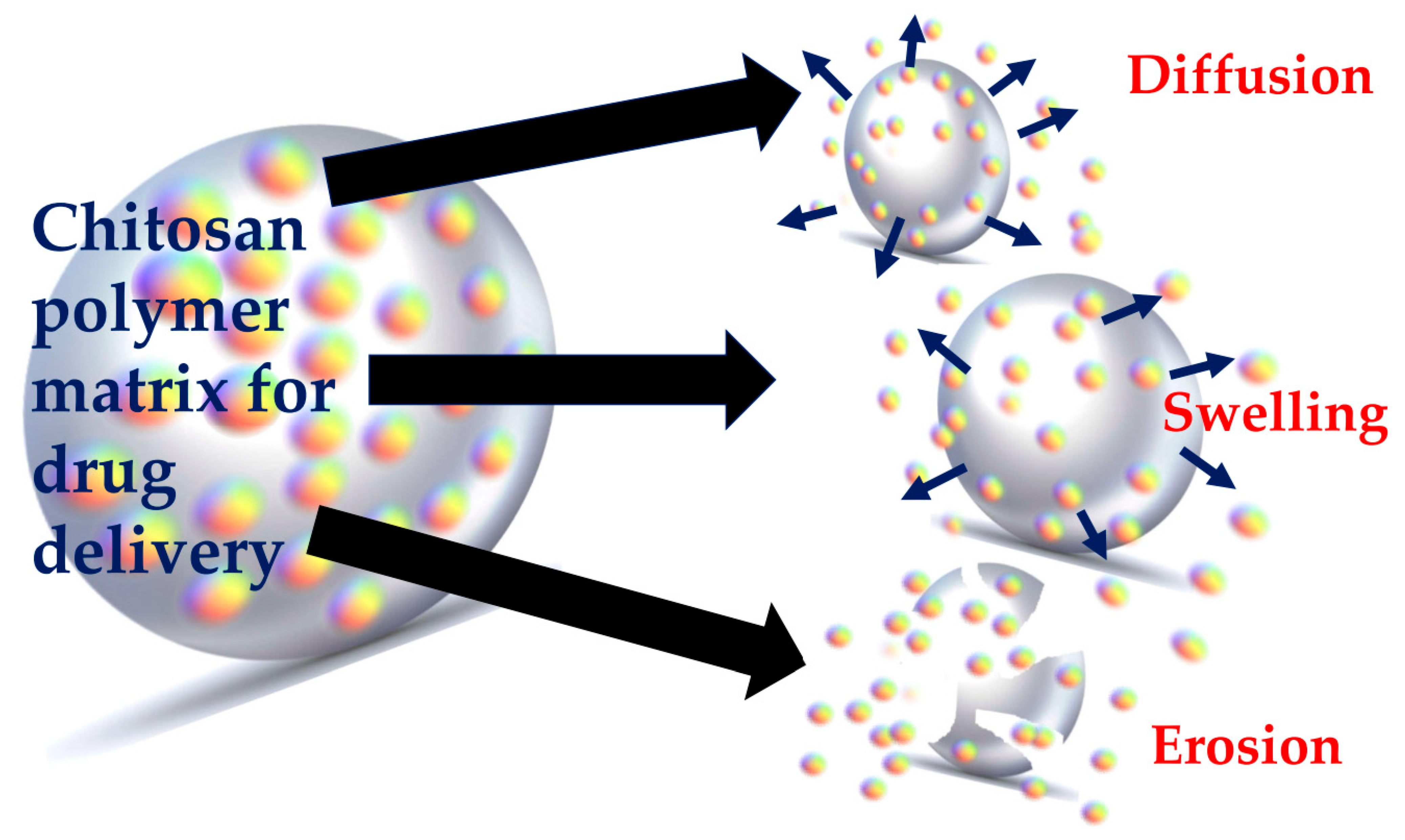 Polymers 13 02256 g001