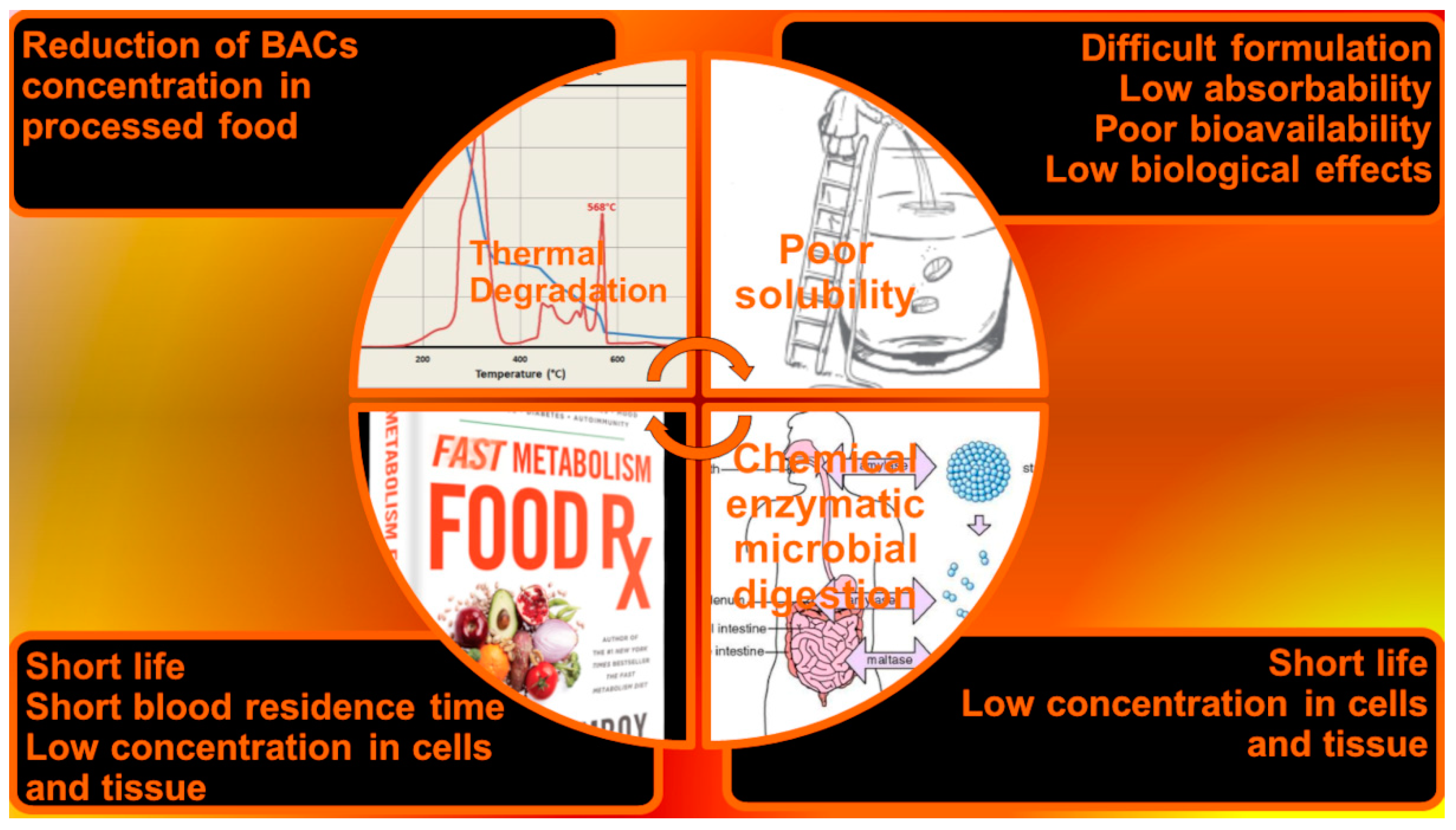 Polymers 13 02262 g001