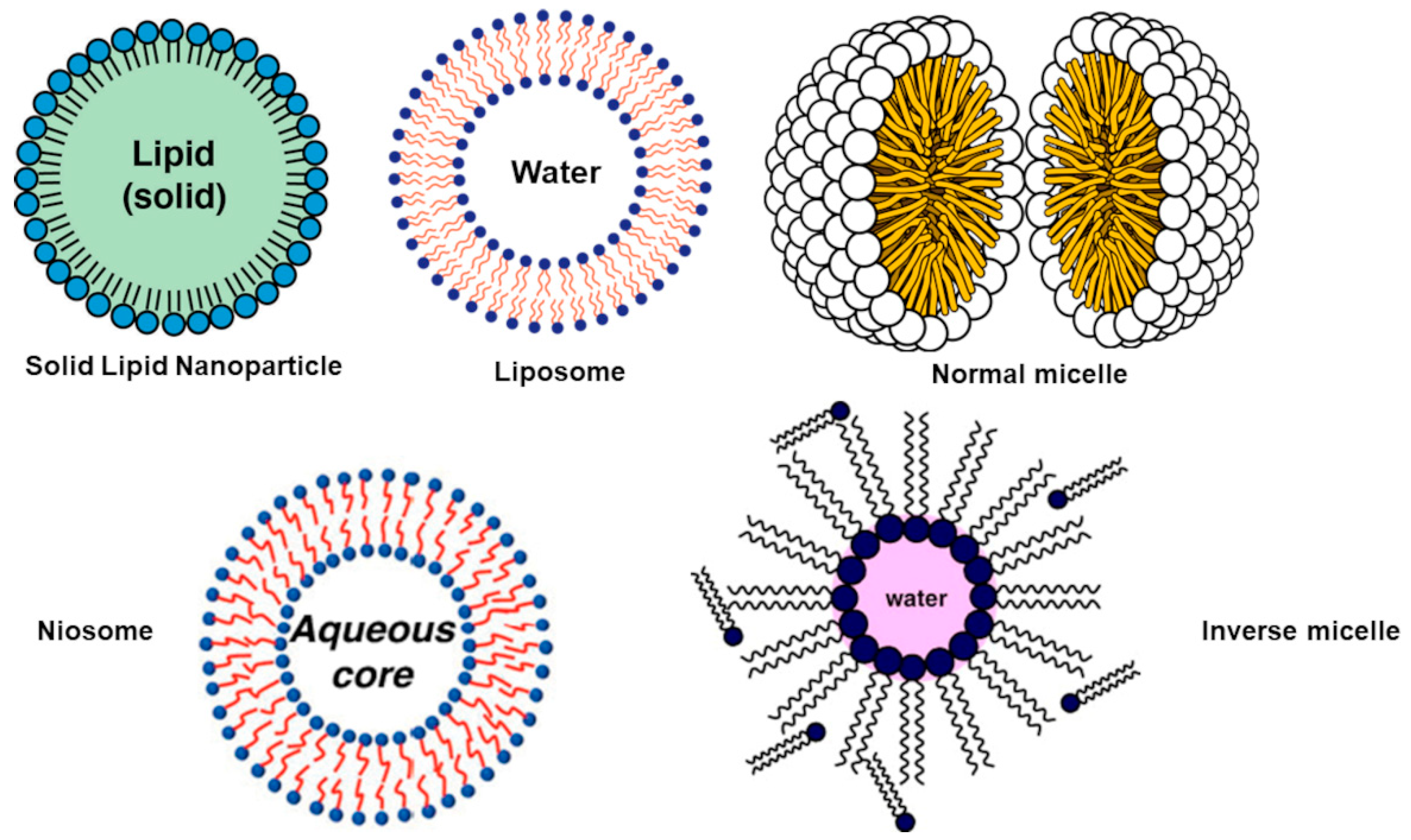 Polymers 13 02262 g006