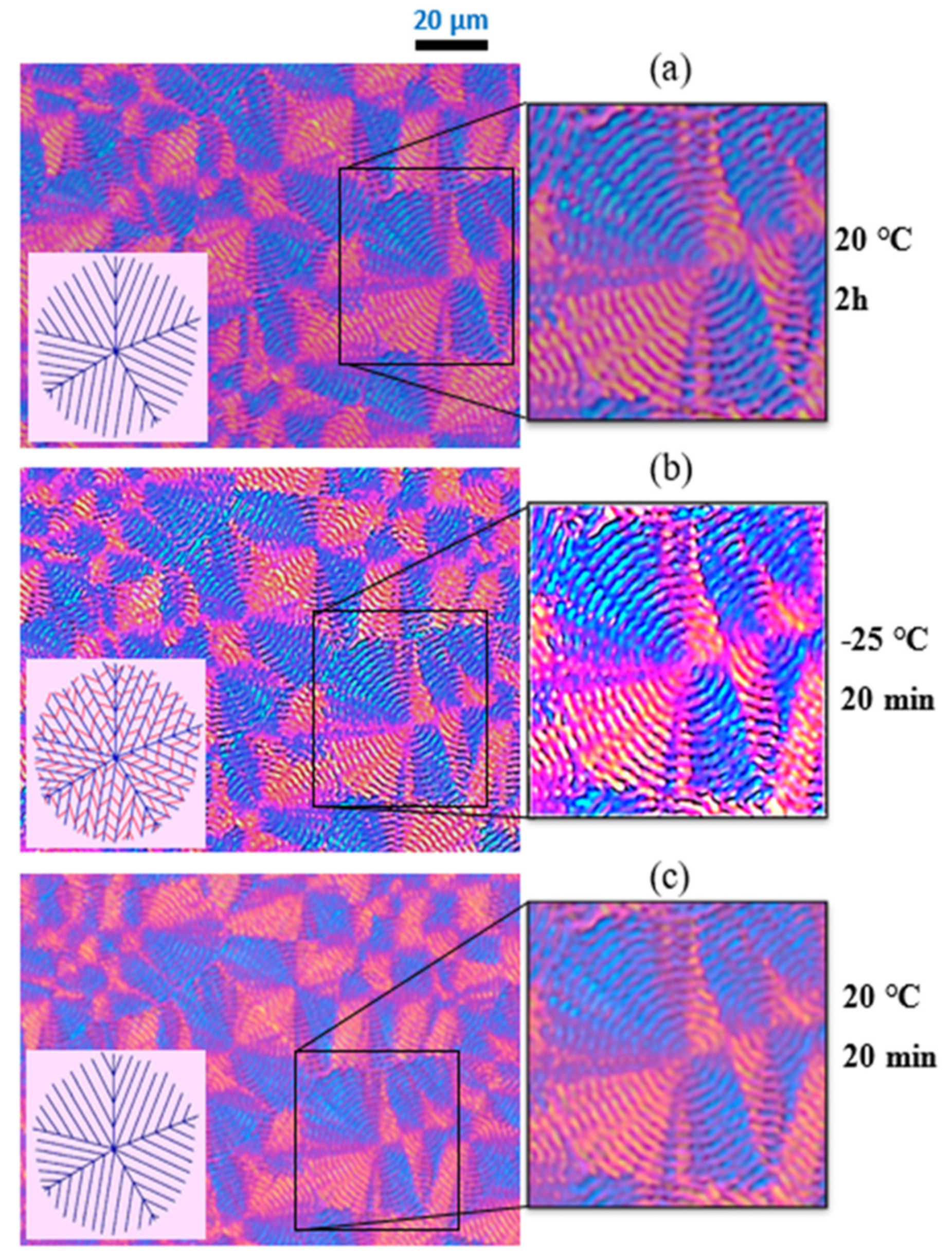 Polymers 13 02263 g007