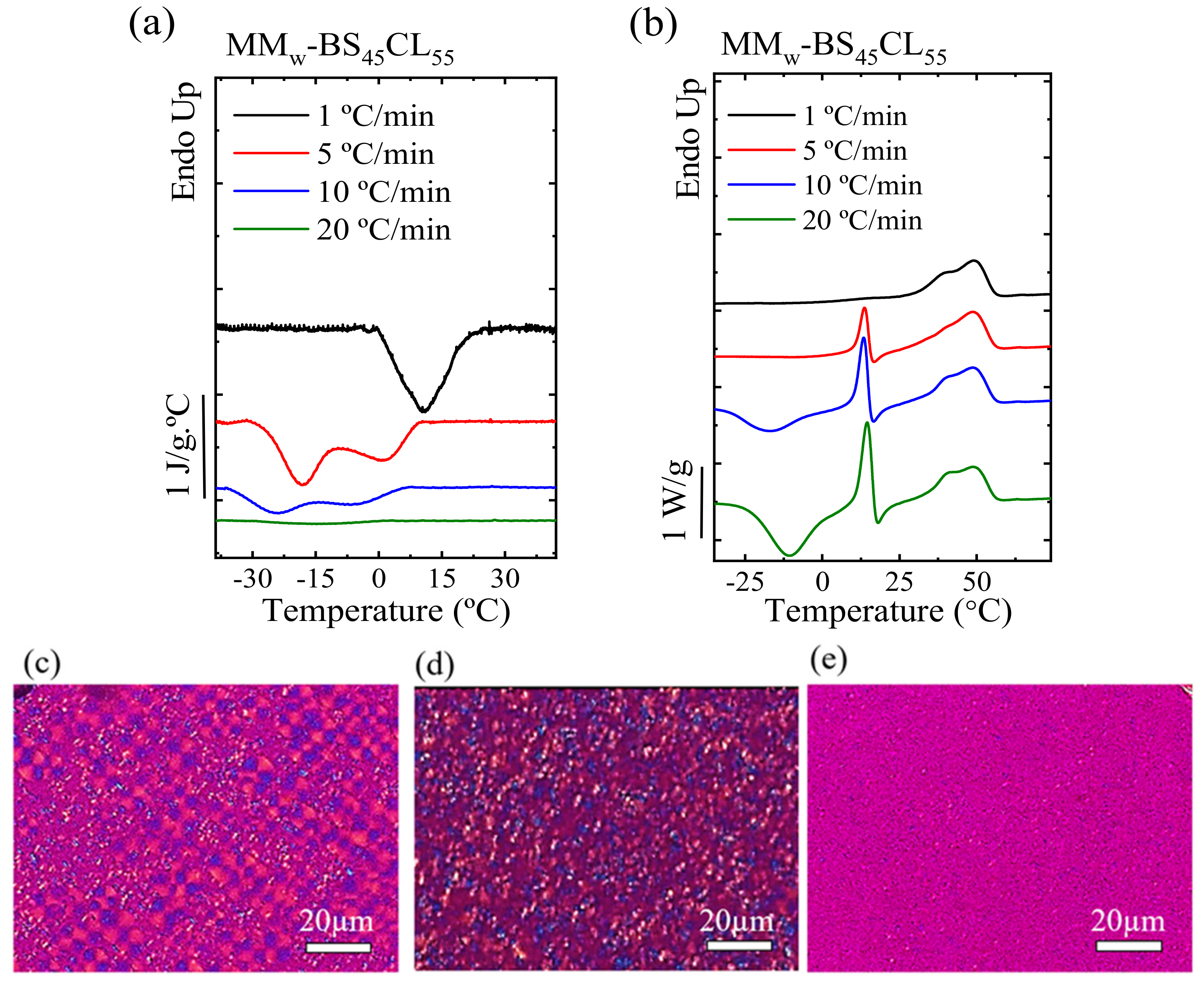 Polymers 13 02263 g008a