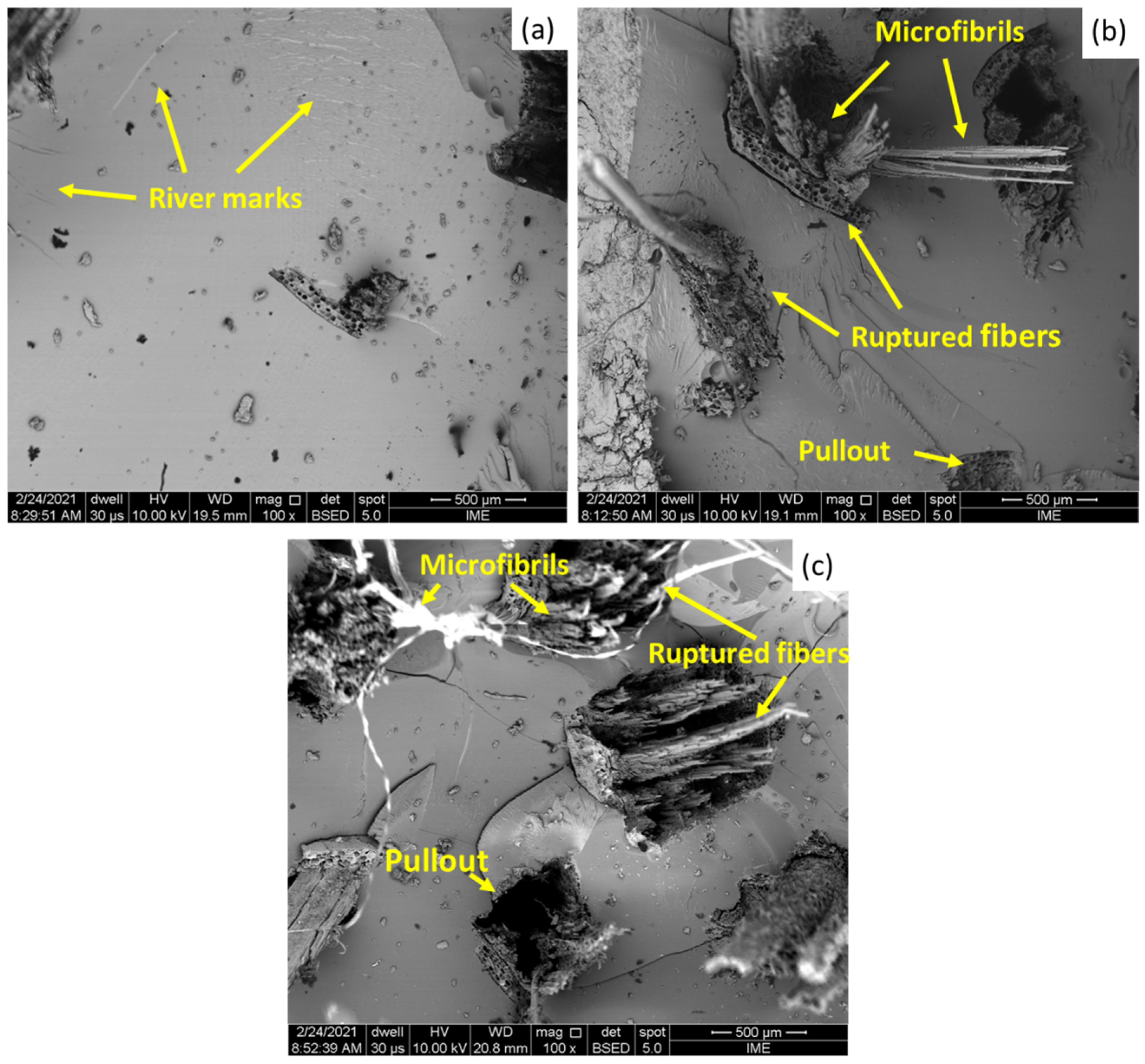 Polymers 13 02264 g005