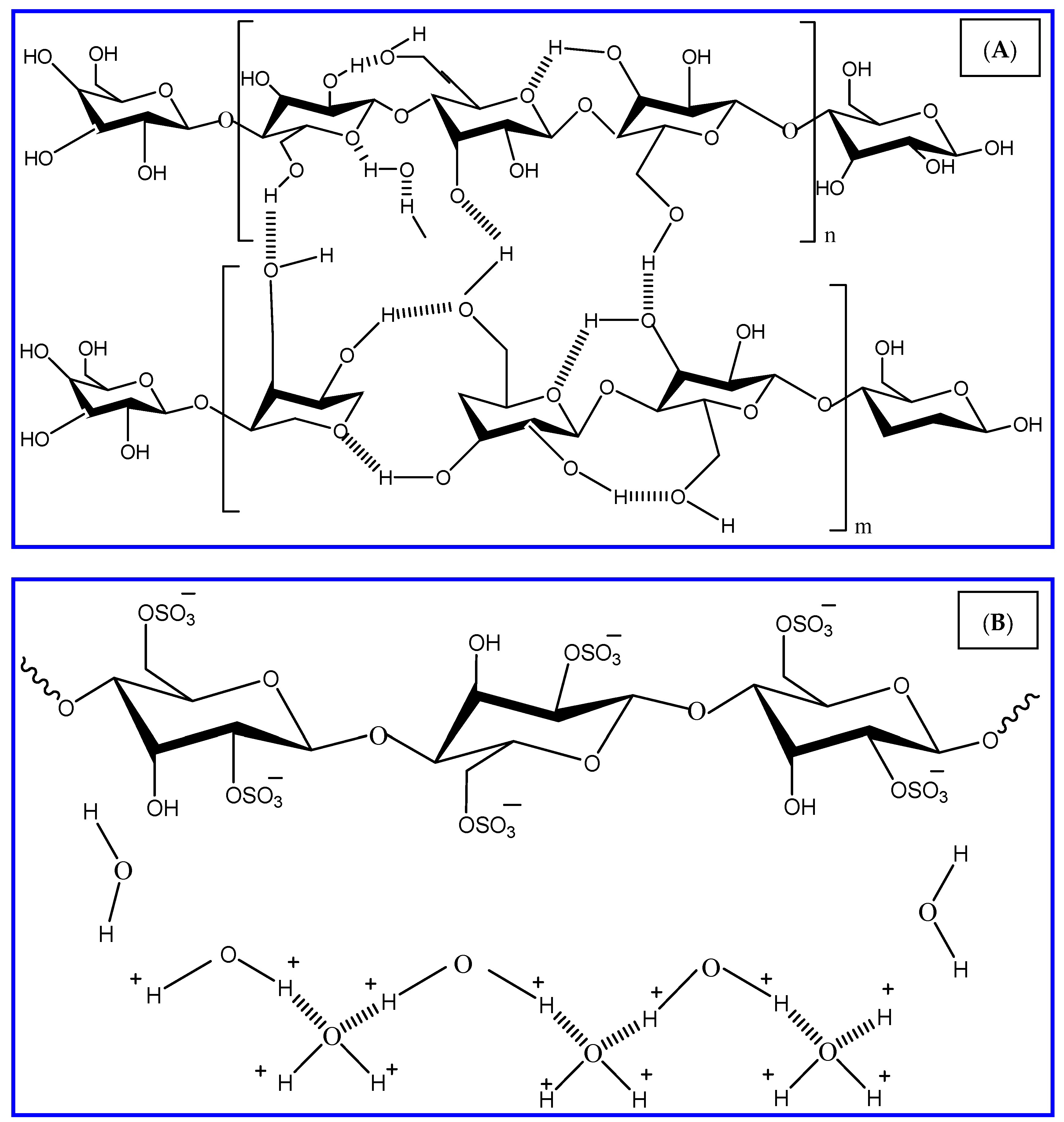 Polymers 13 02275 g001