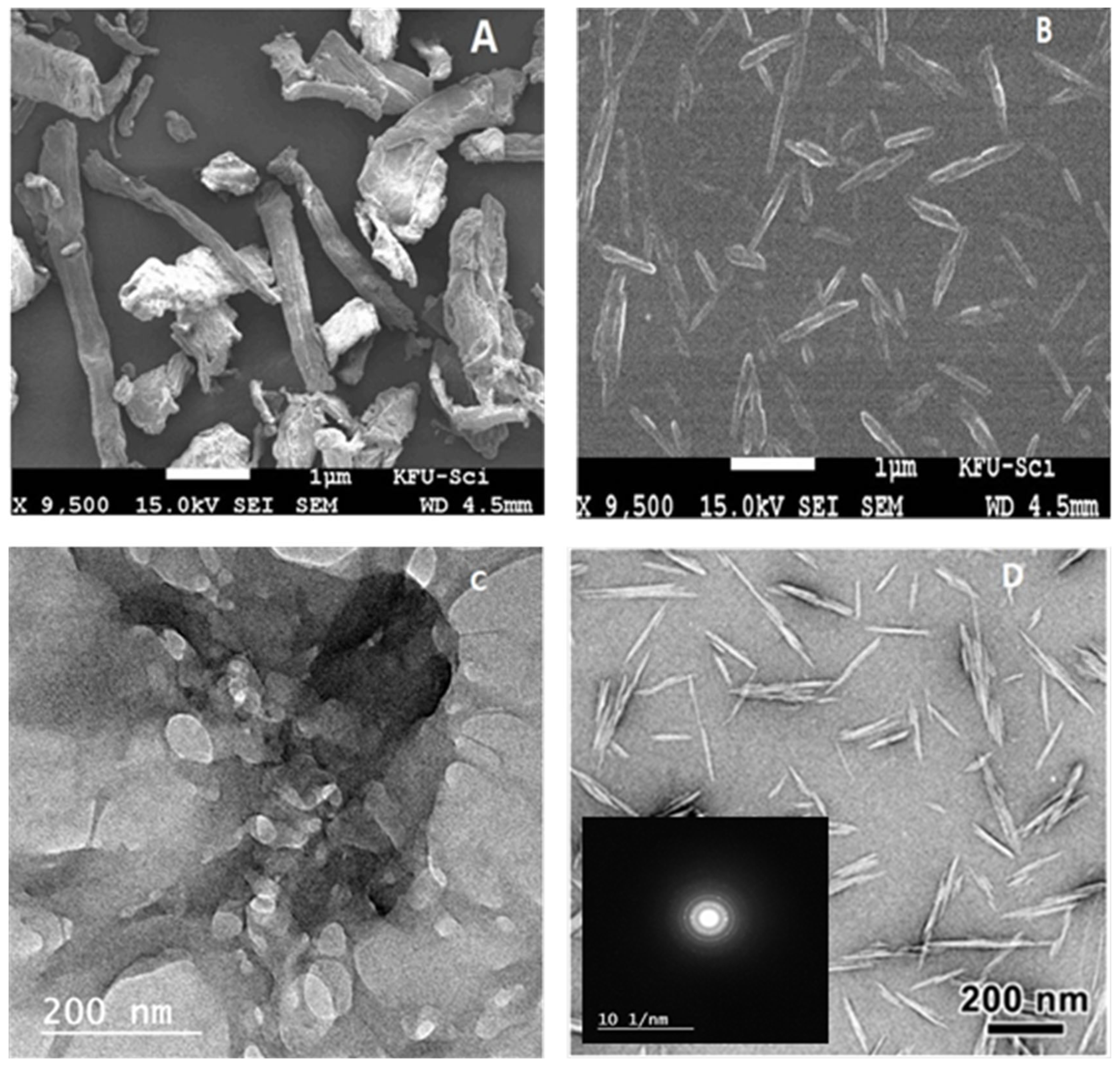 Polymers 13 02275 g004