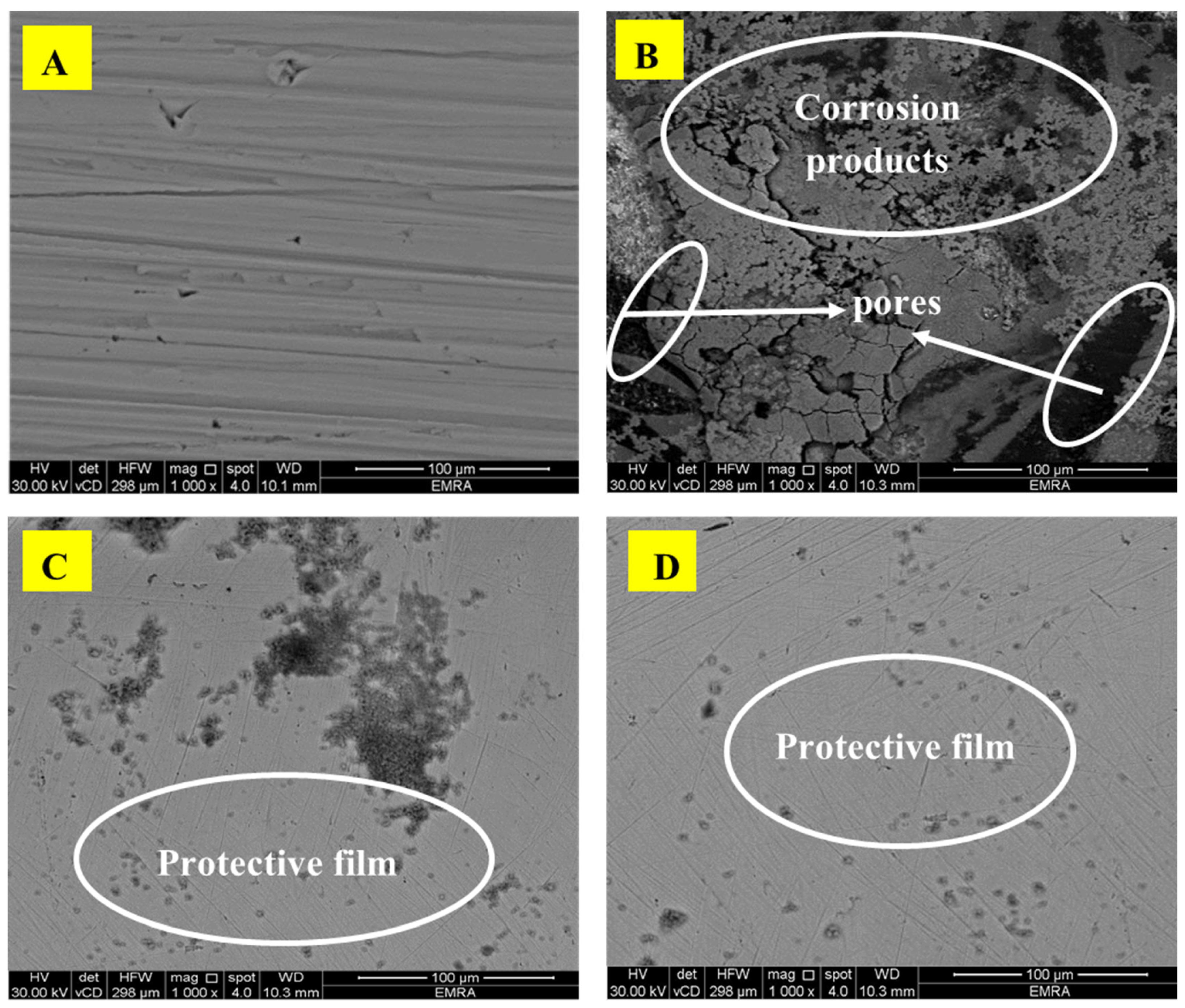 Polymers 13 02275 g012