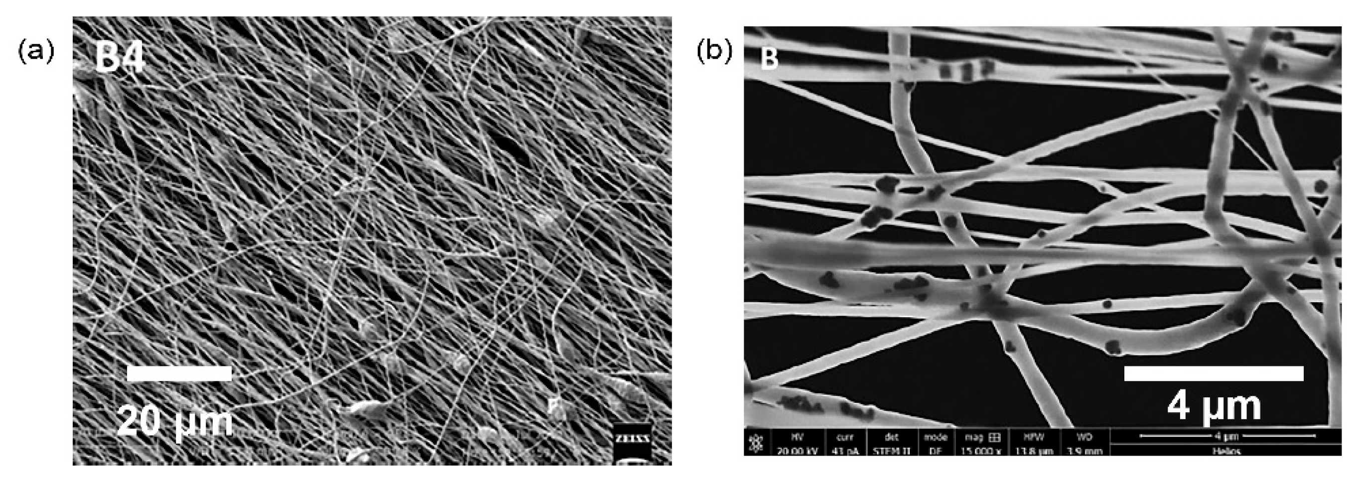 Polymers 13 02276 g009