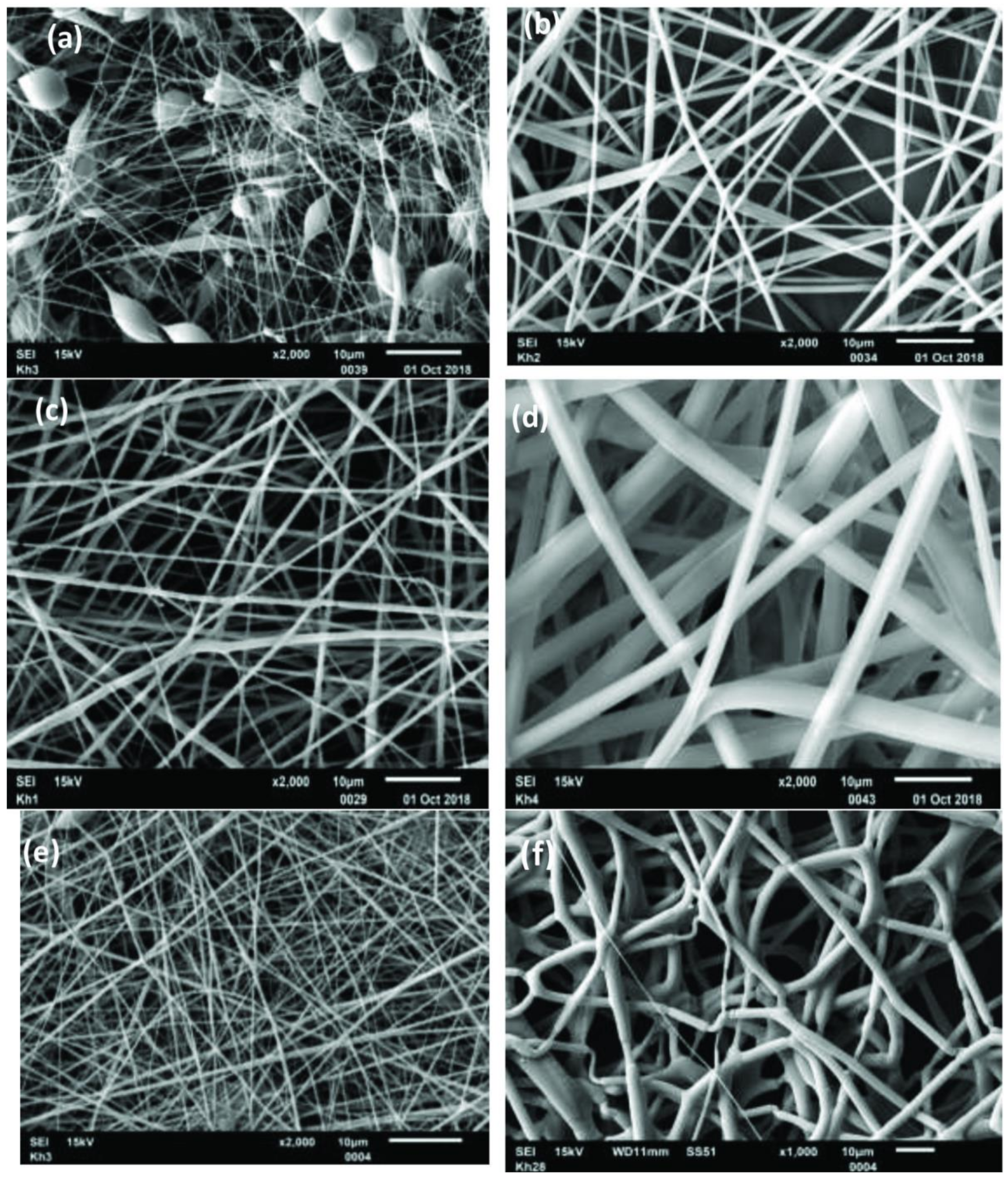 Polymers 13 02277 g002 Polymers 13 02277 g002