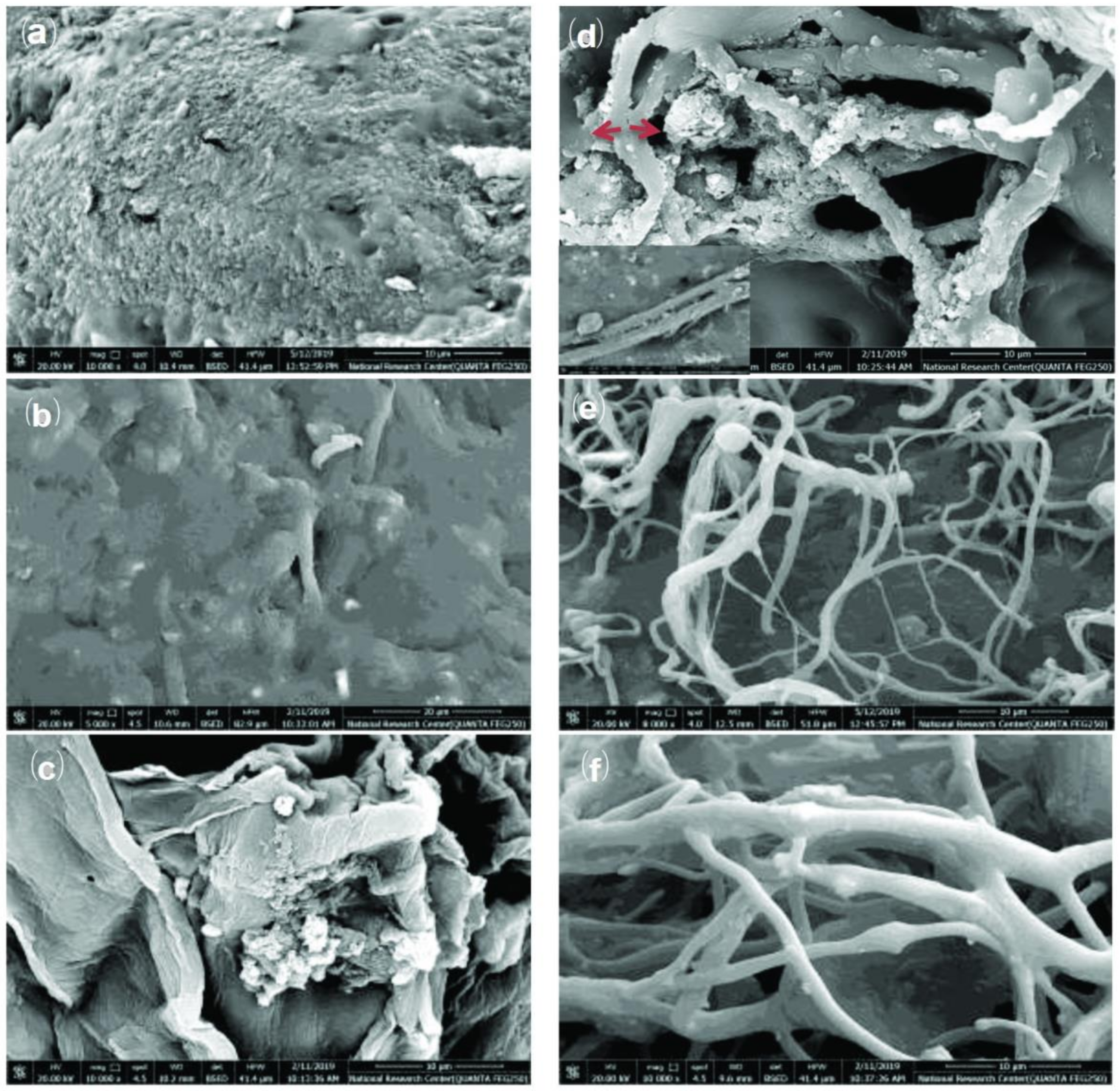 Polymers 13 02277 g006 Polymers 13 02277 g006