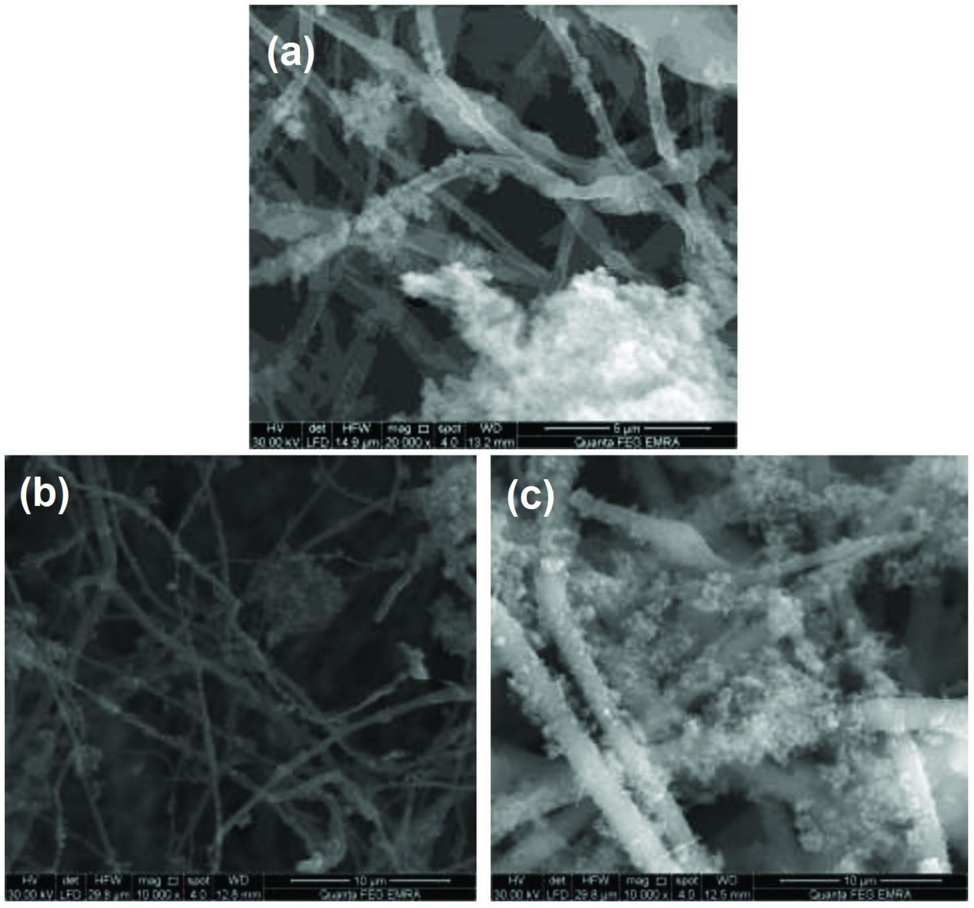 Polymers 13 02277 g007 Polymers 13 02277 g007