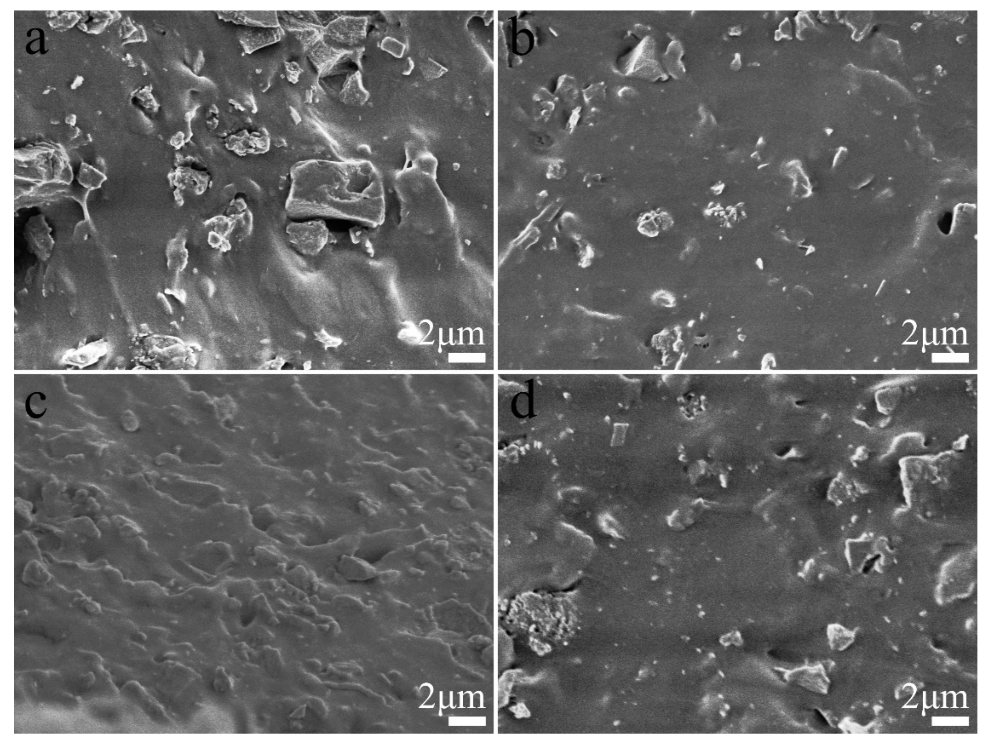 Polymers 13 02284 g003