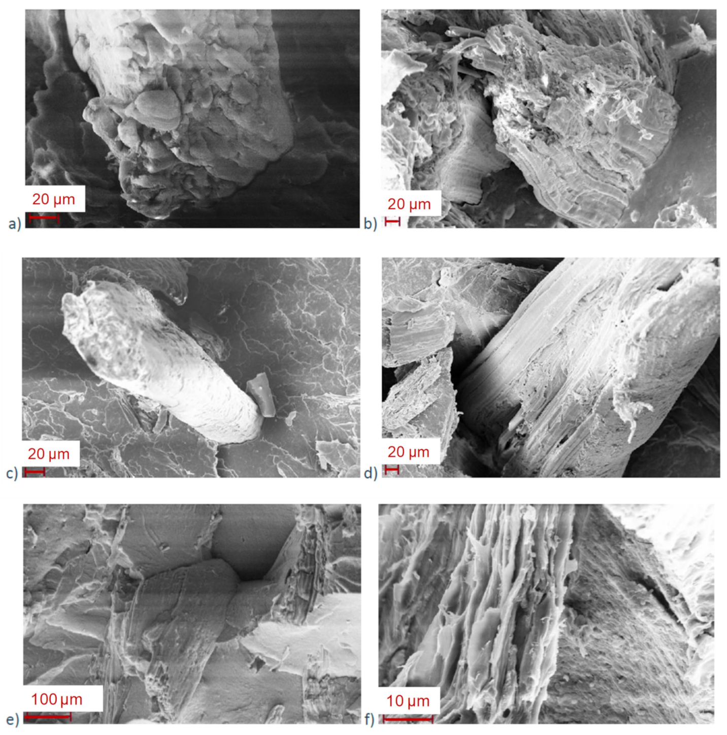 Polymers 13 02285 g005