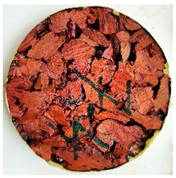 Polymers 13 02287 i005