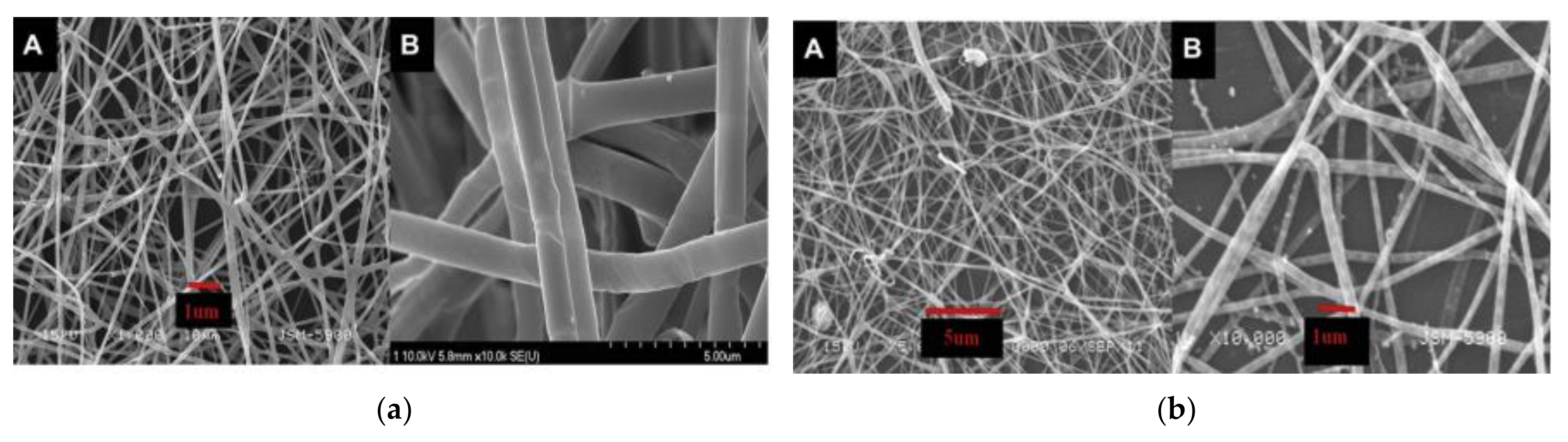 Polymers 13 02290 g005
