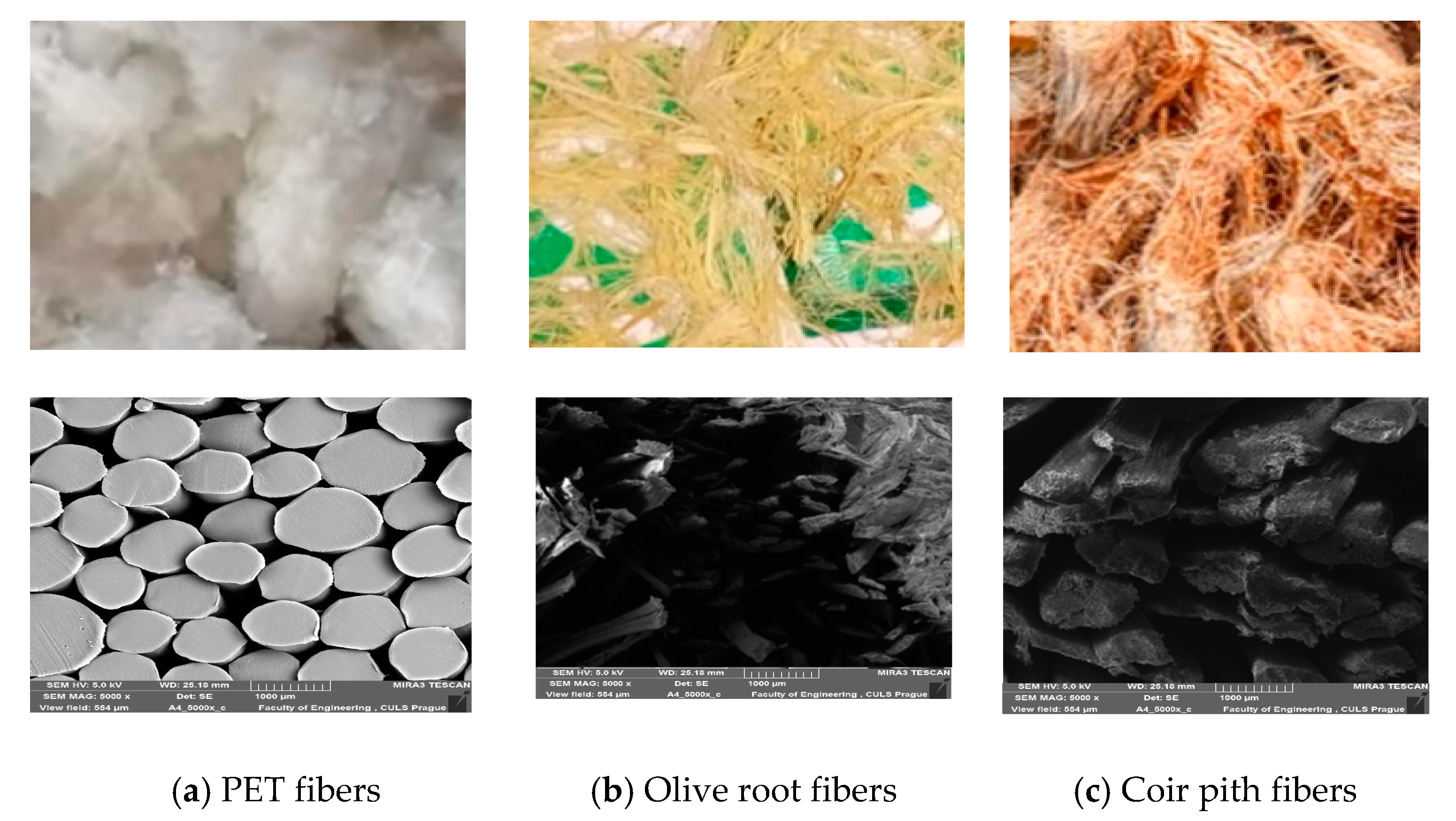 Polymers 13 02291 g001 Polymers 13 02291 g001
