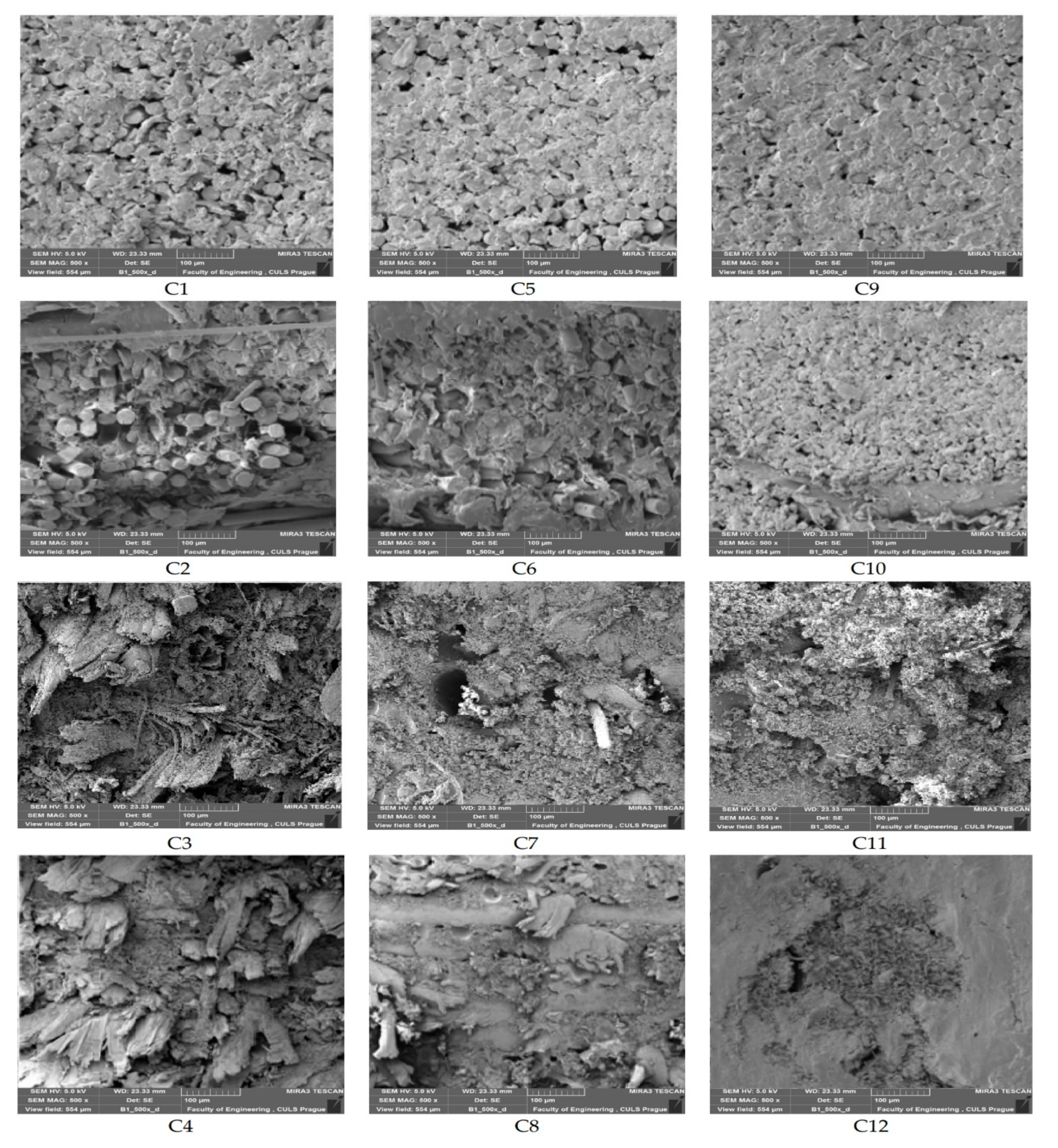 Polymers 13 02291 g003 Polymers 13 02291 g003