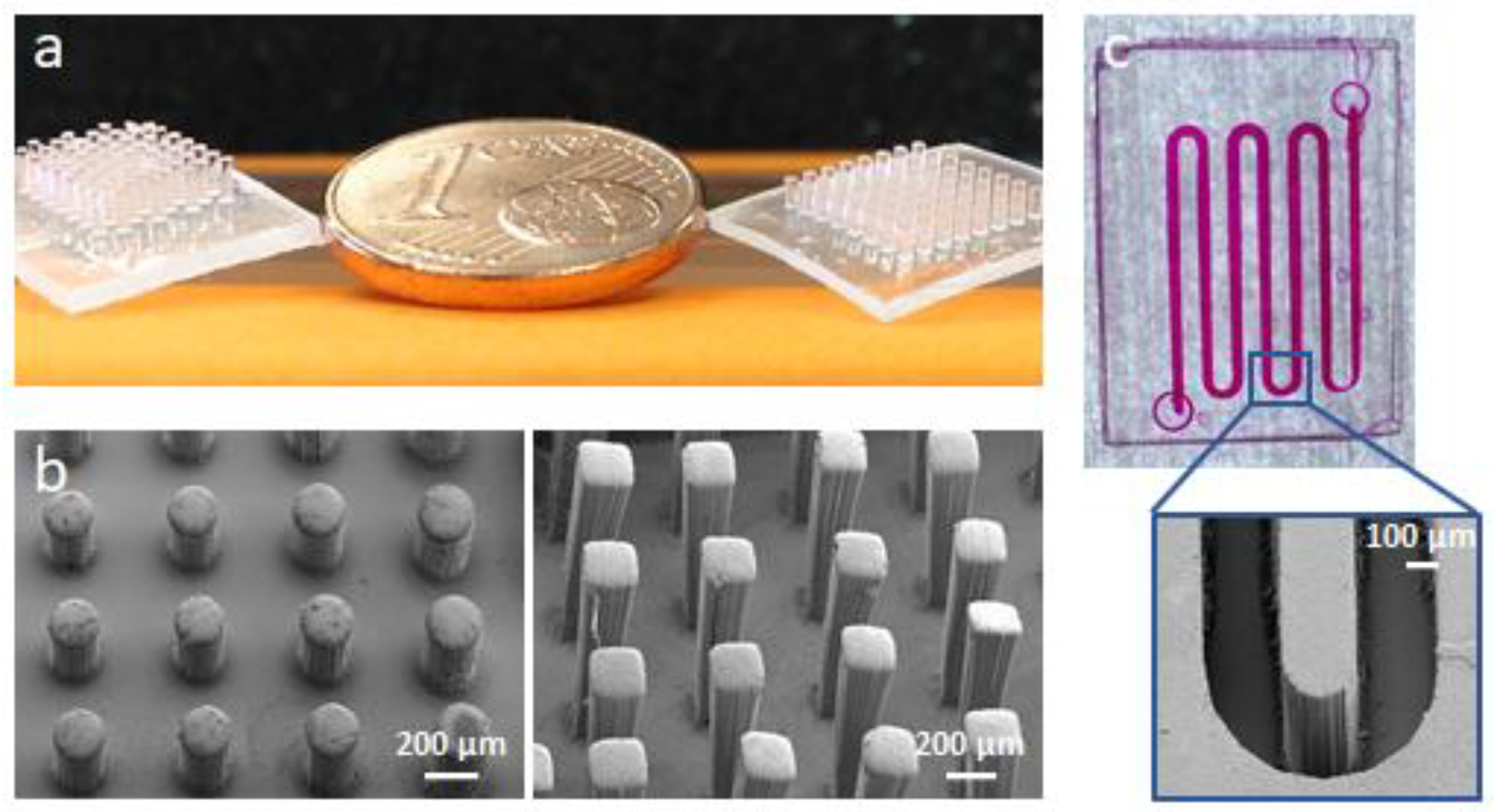 Polymers 13 02293 g007