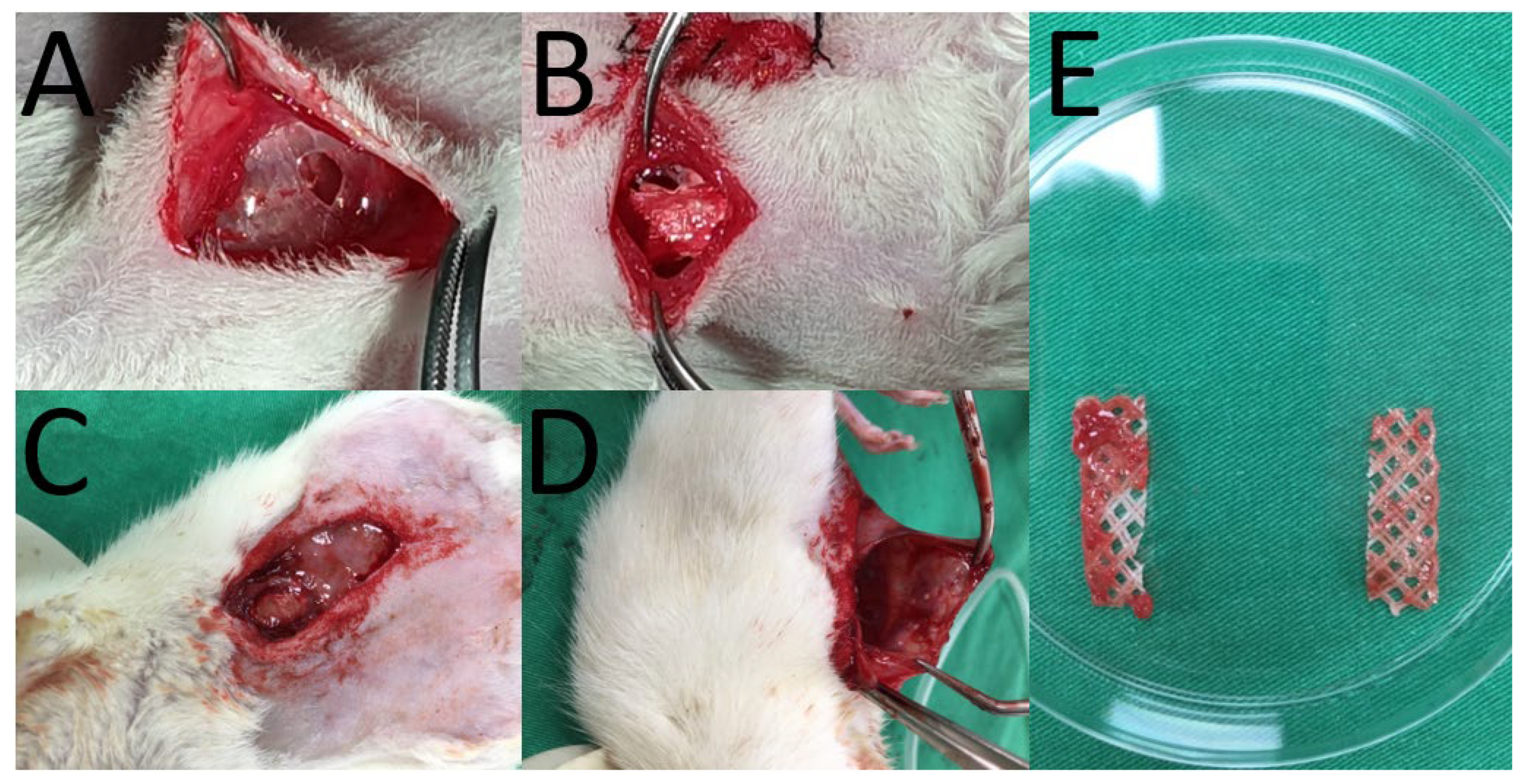 Polymers 13 02295 g002